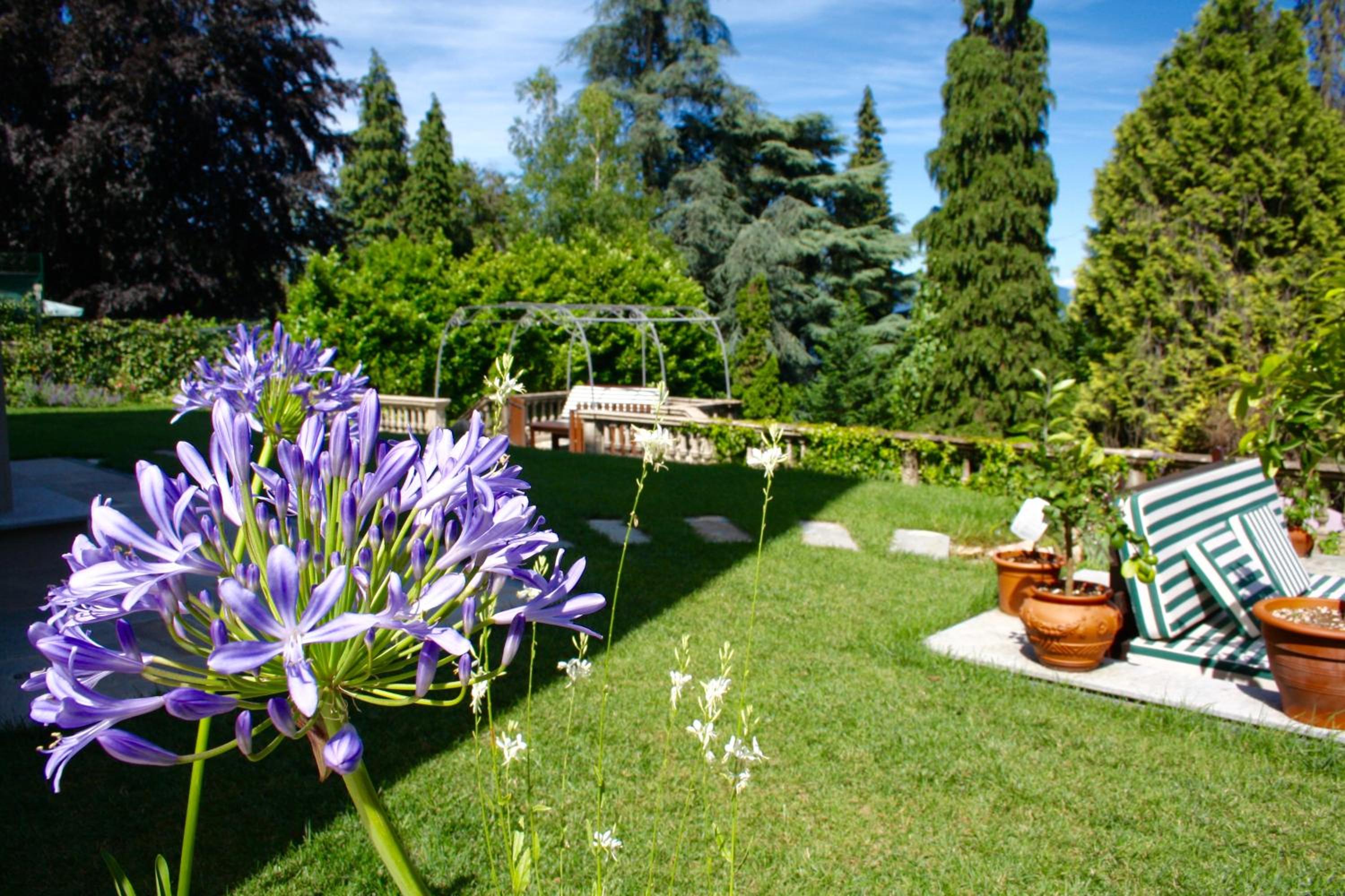 White Lilac Romantic B&B - Adults only