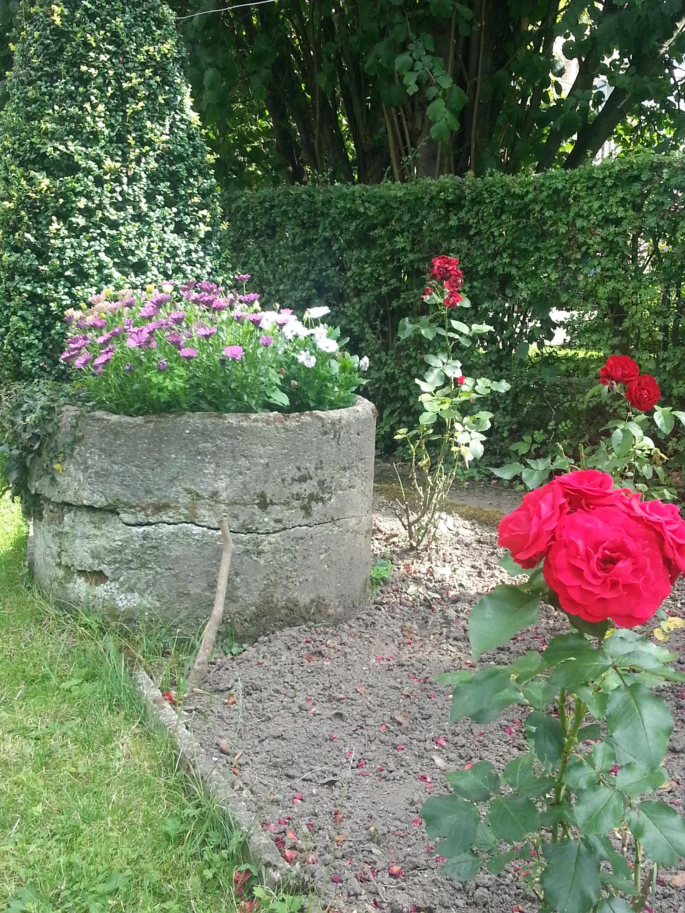 B&B Au Jardin Fleuri