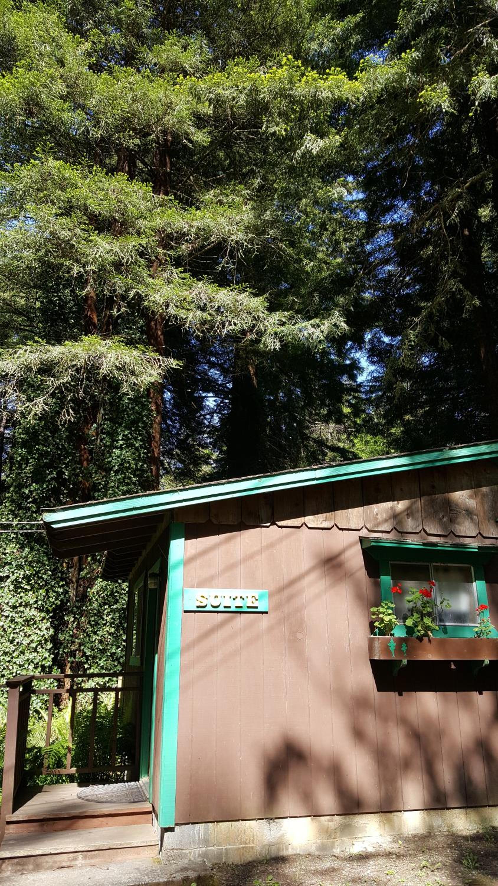 Emerald Forest Cabins
