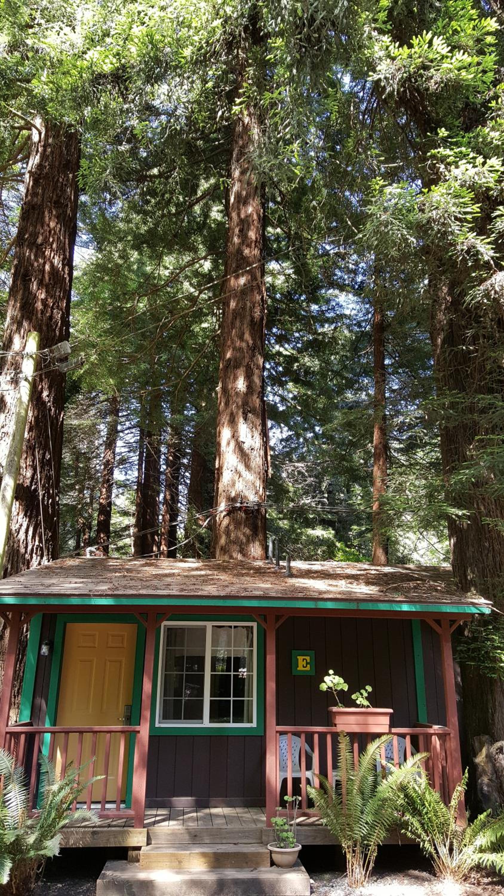 Emerald Forest Cabins