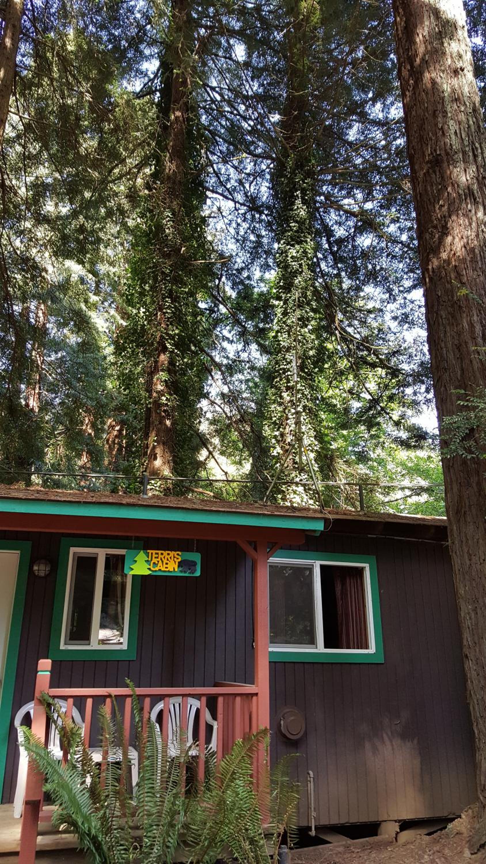 Emerald Forest Cabins