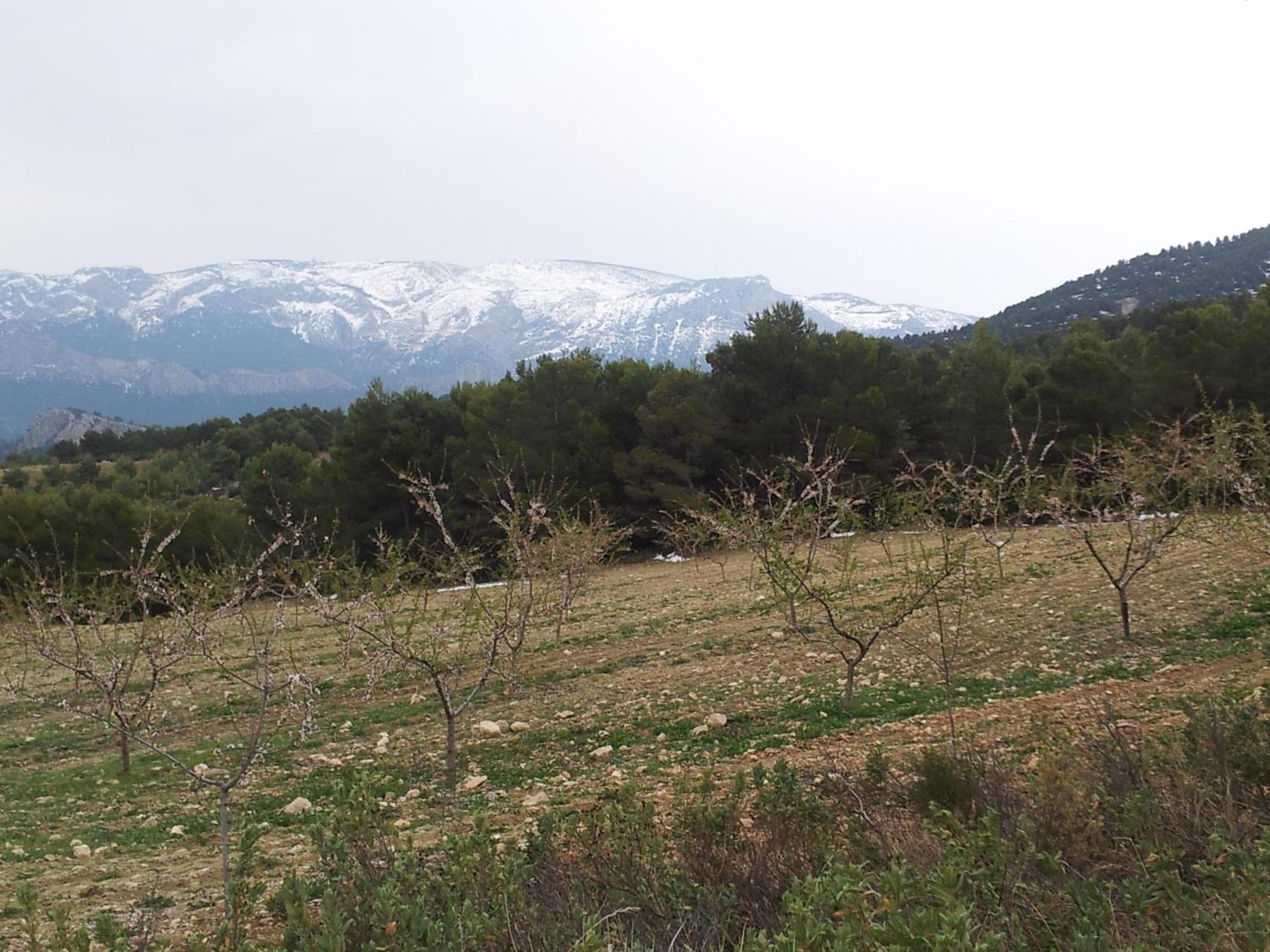 Photo 37