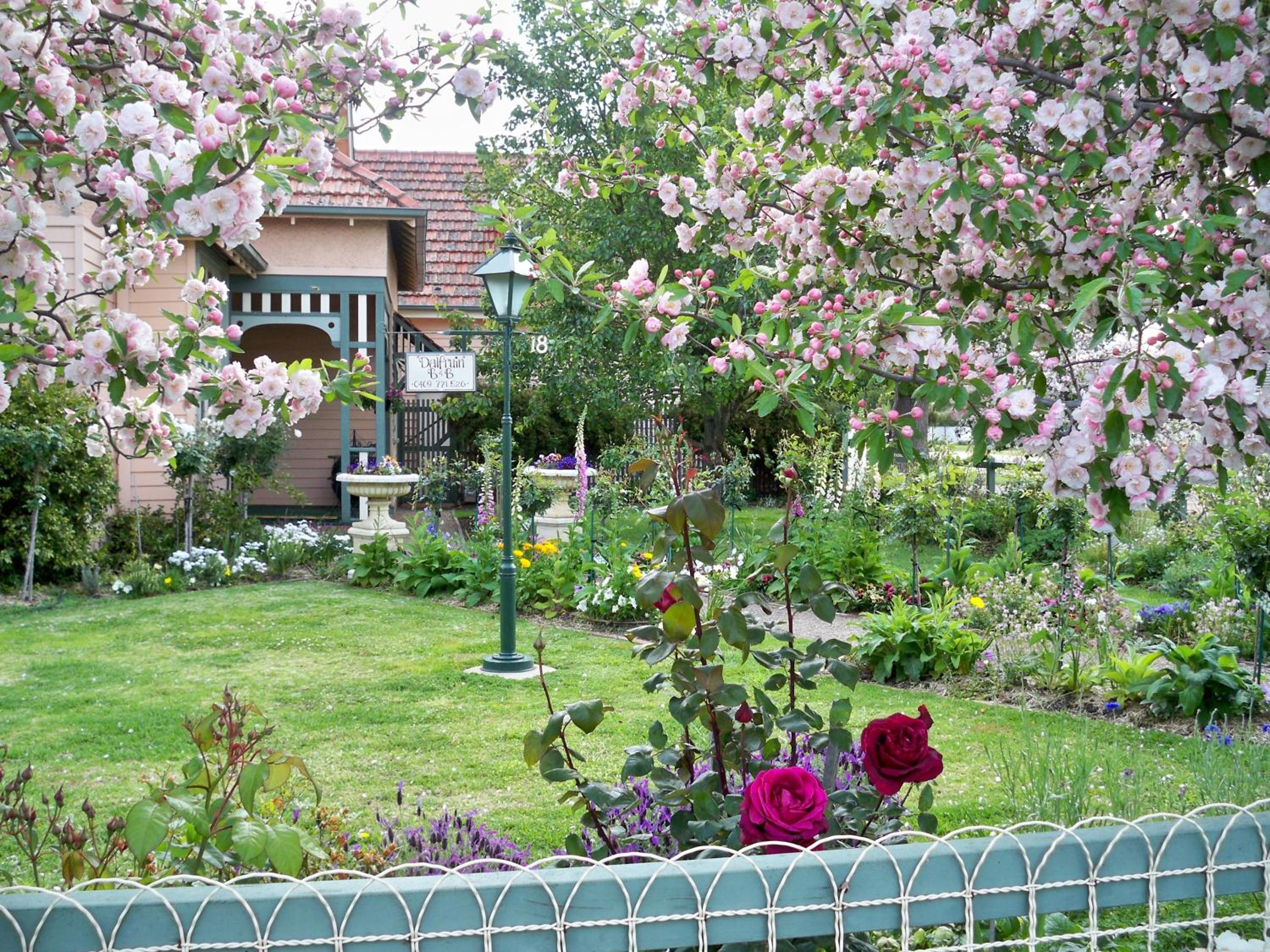 Dalfruin B&B
