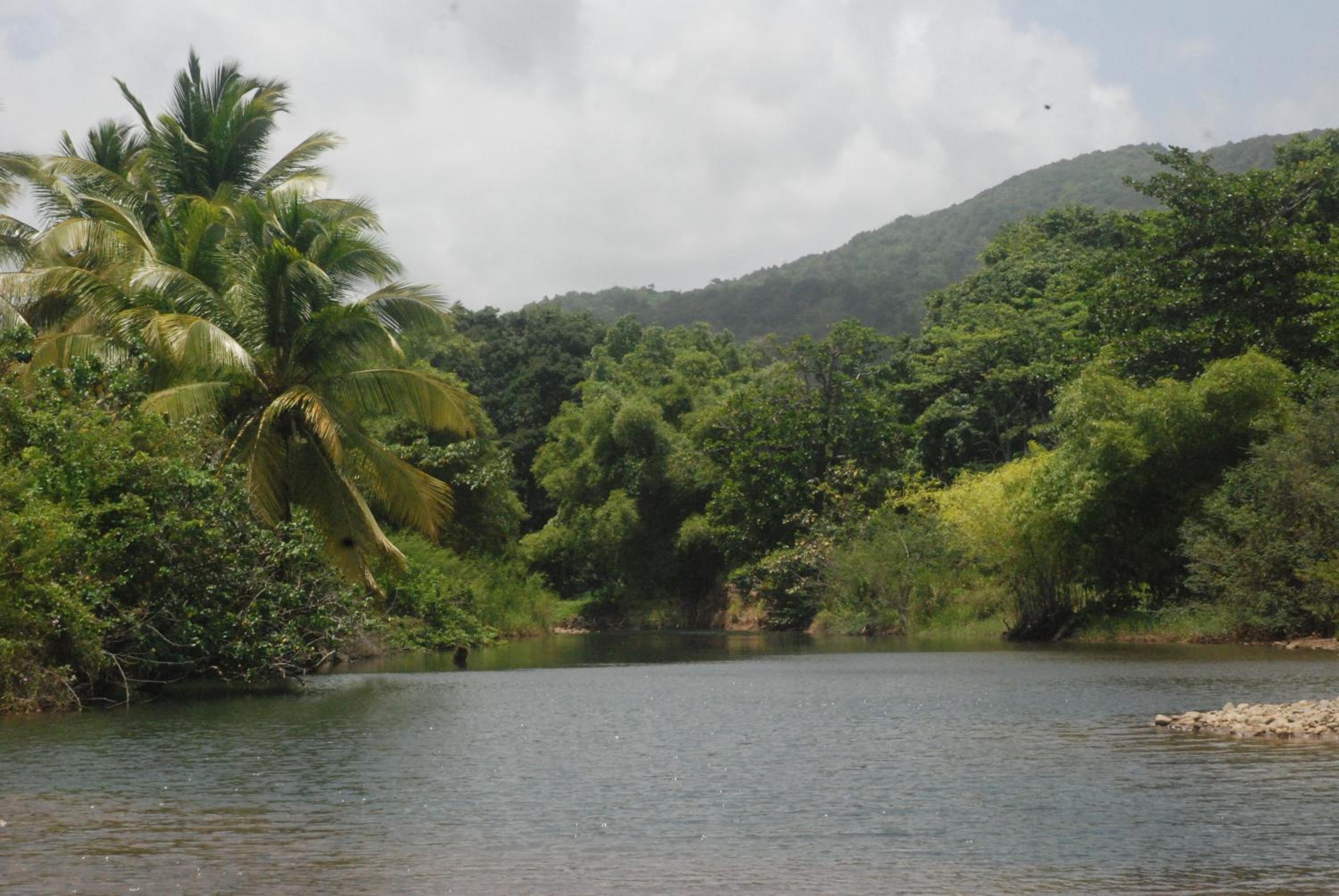 Bungalow PAPAYE