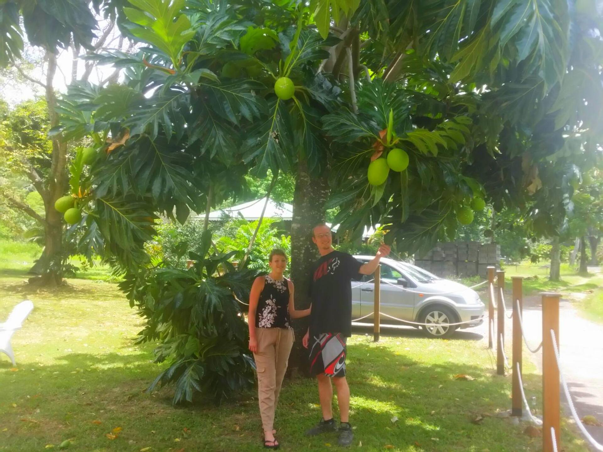 Bungalow PAPAYE