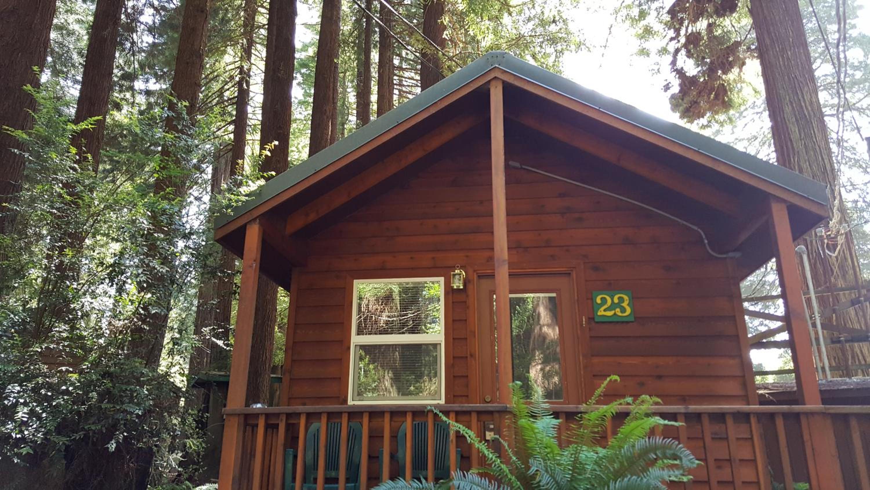 Emerald Forest Cabins
