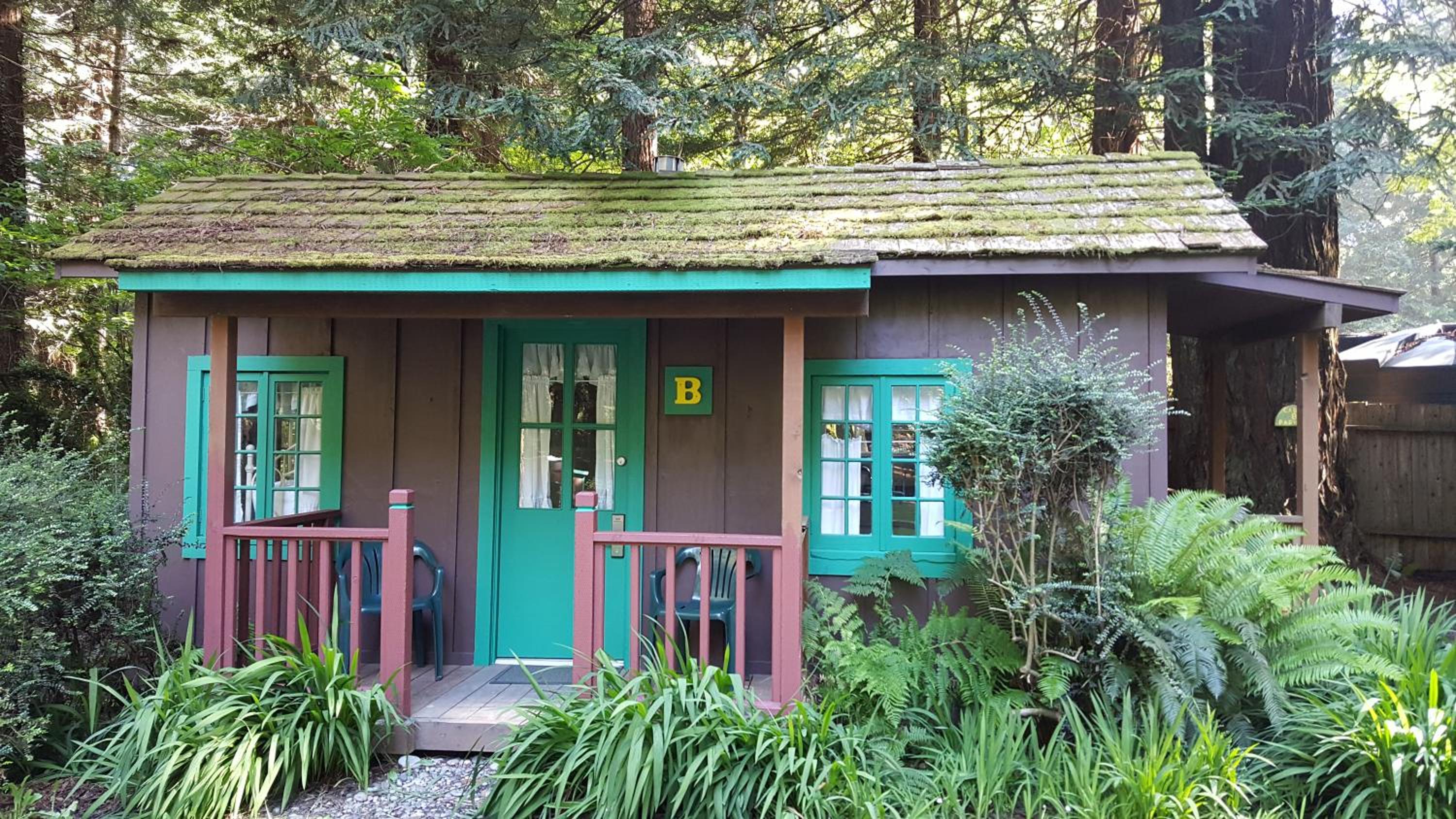 Emerald Forest Cabins