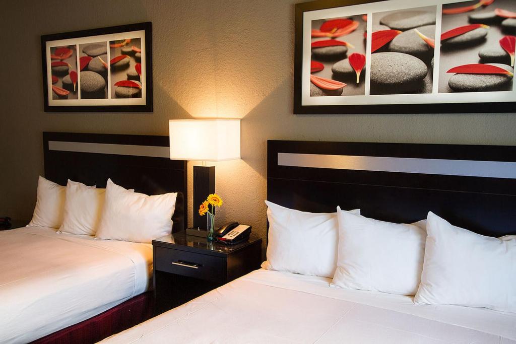 Granada Inn - Property Image 11