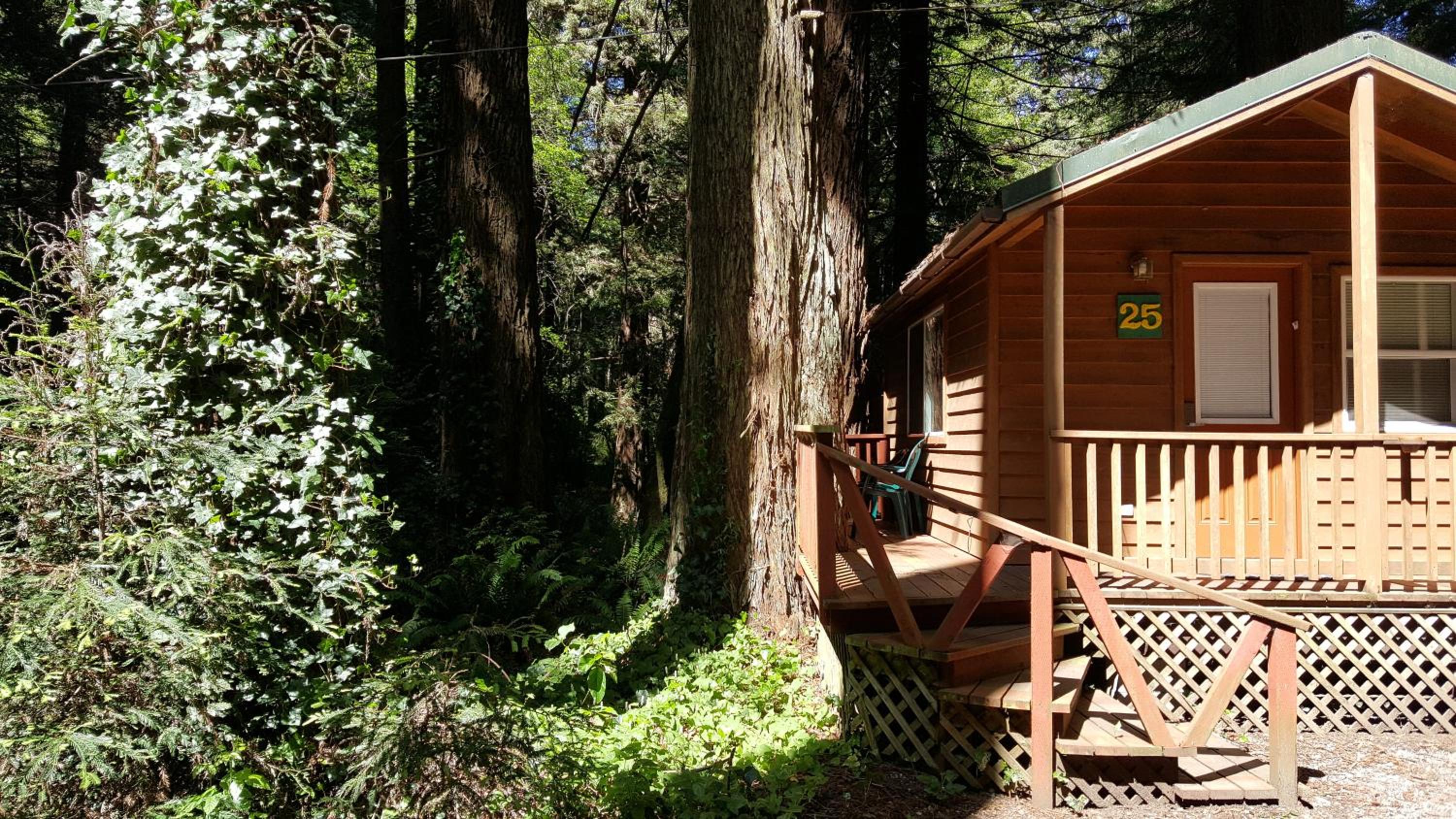 Emerald Forest Cabins