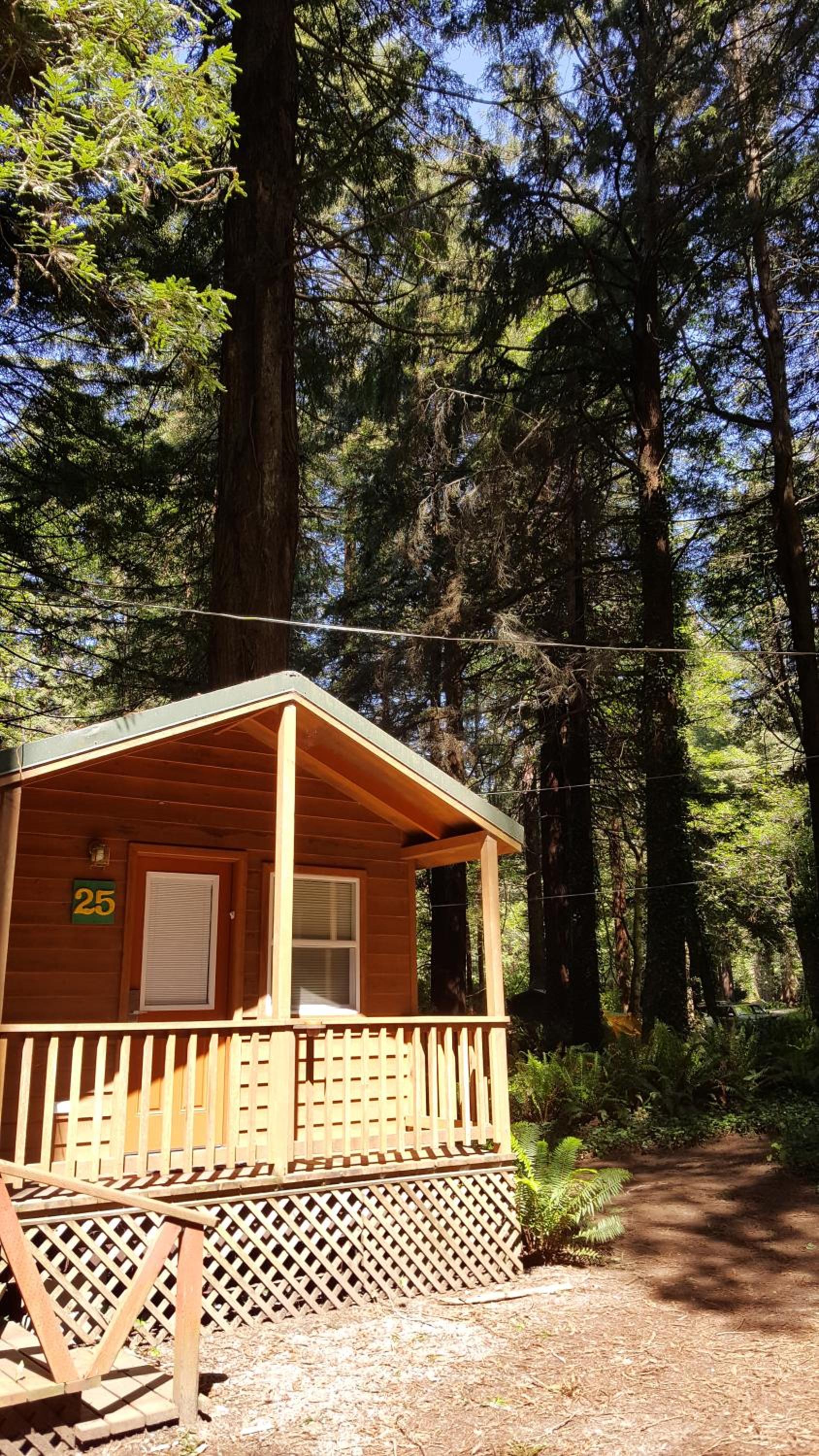 Emerald Forest Cabins