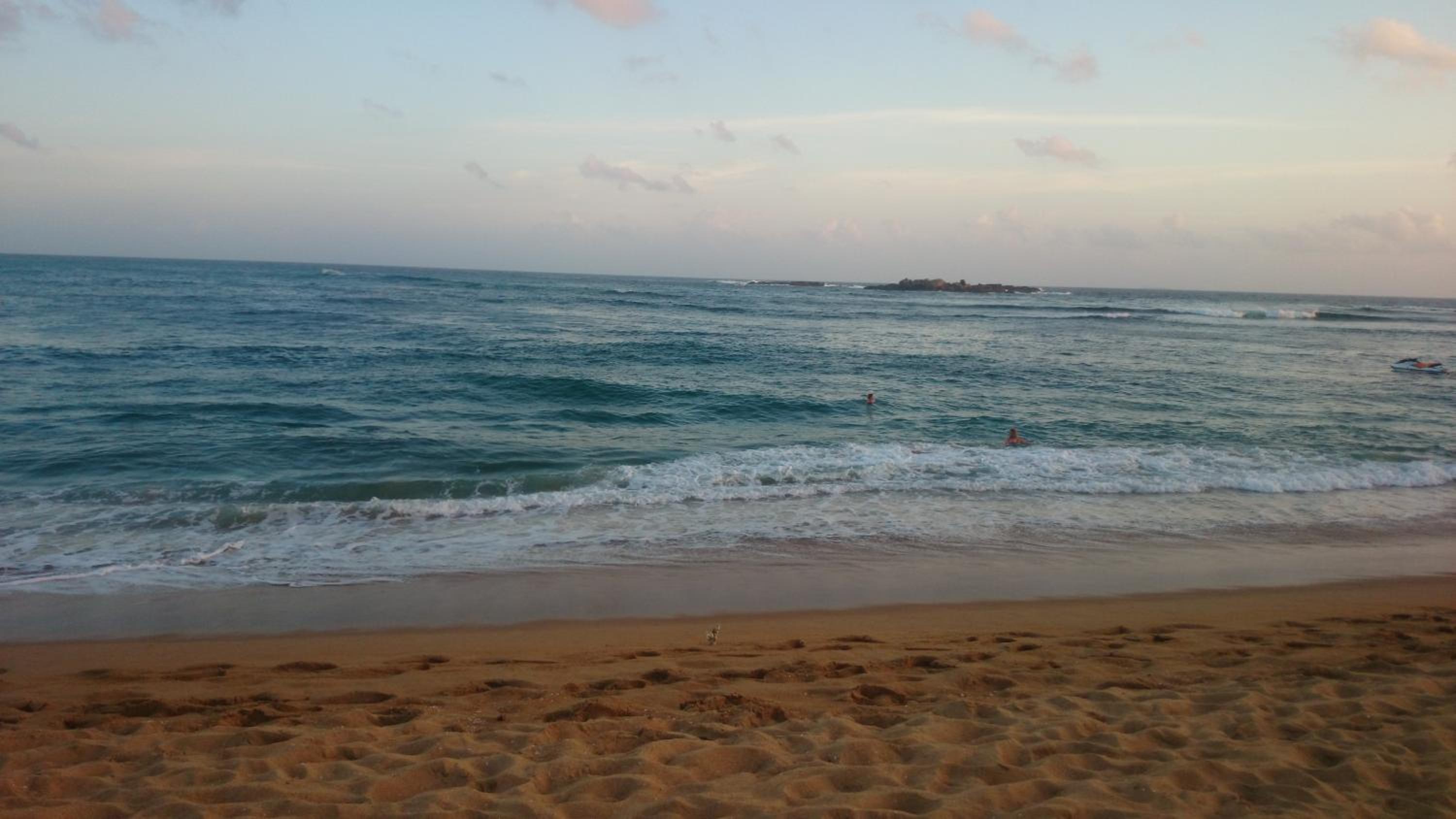 Photo 41