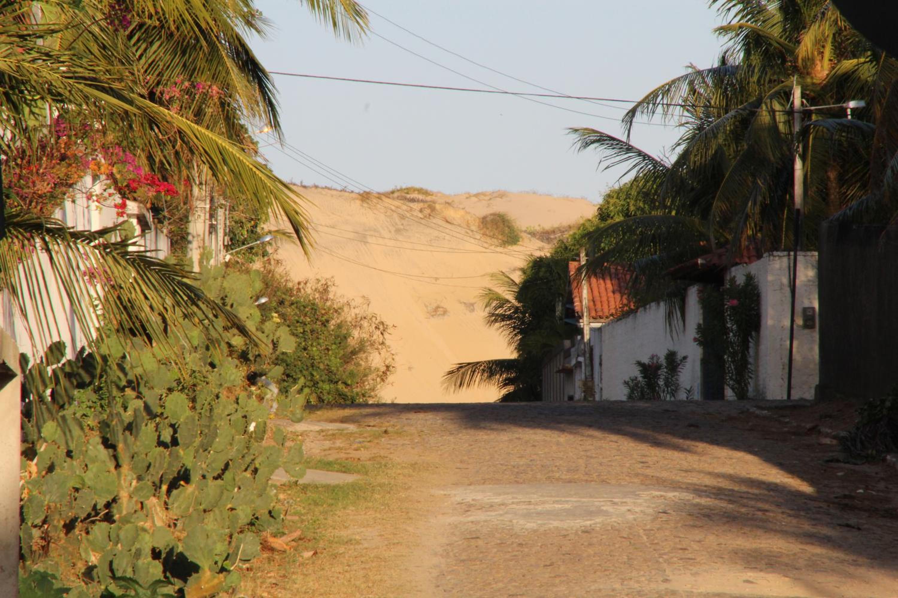 Photo 48