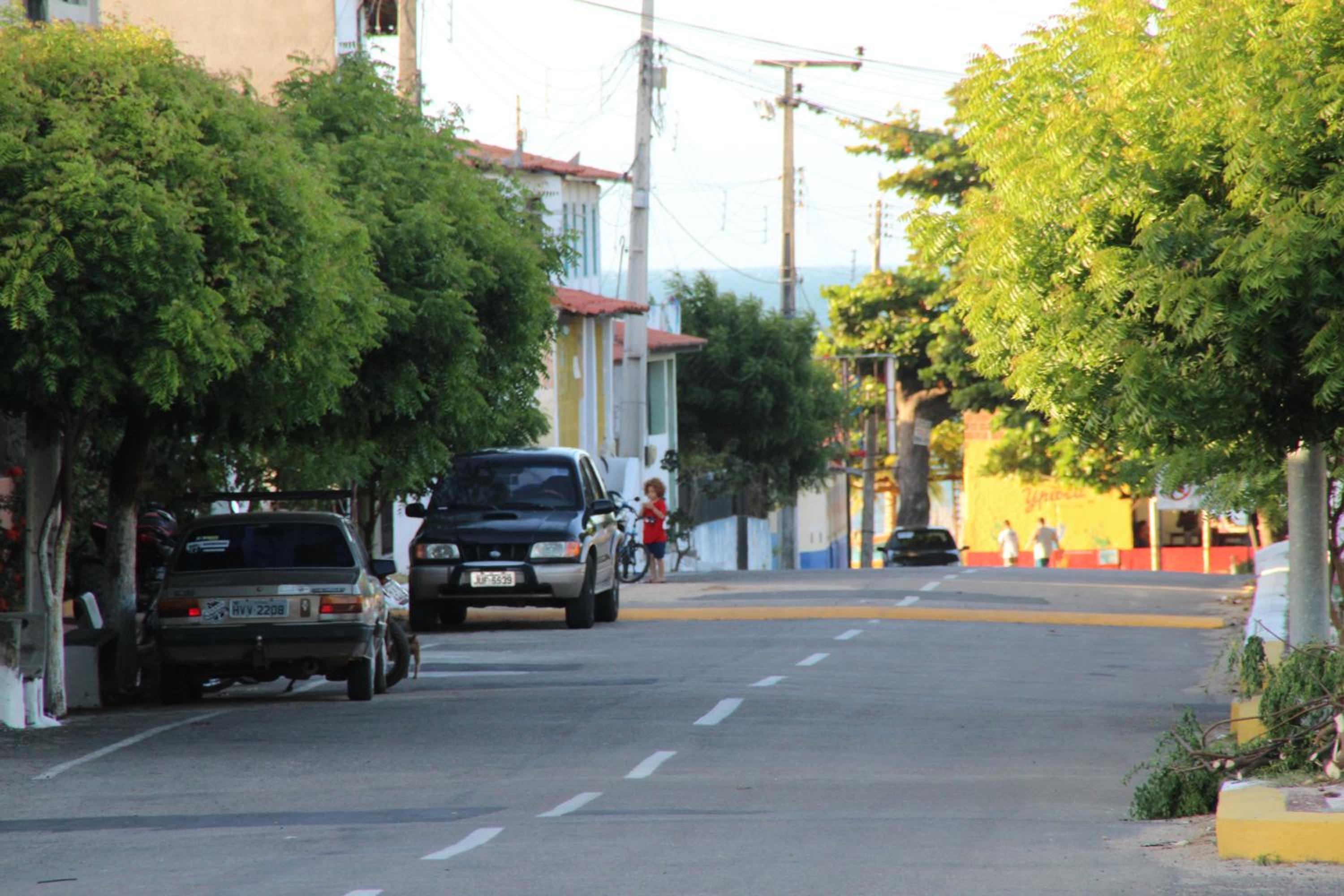 Photo 50