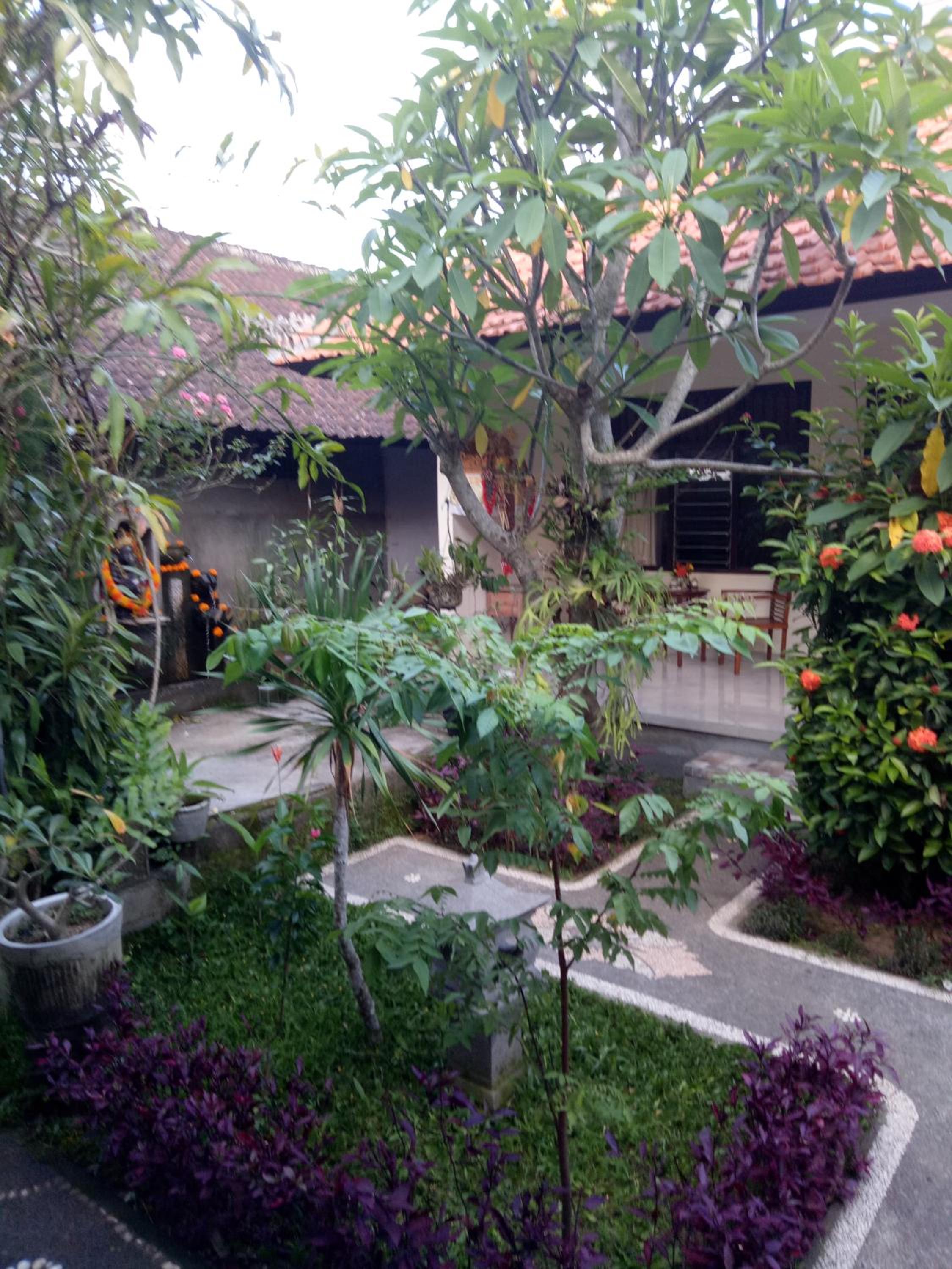 Photo 43