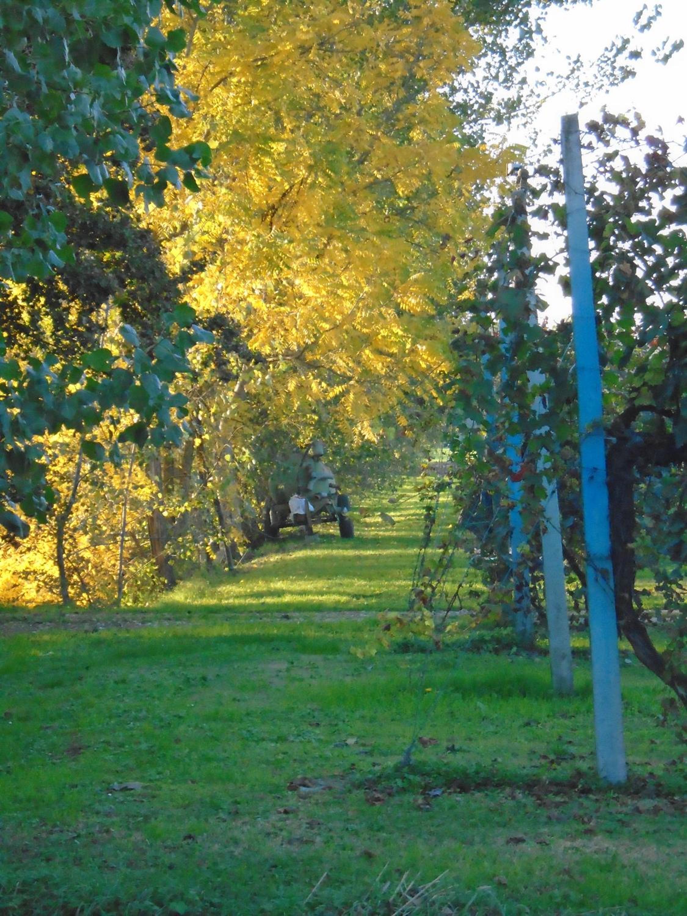 Photo 18