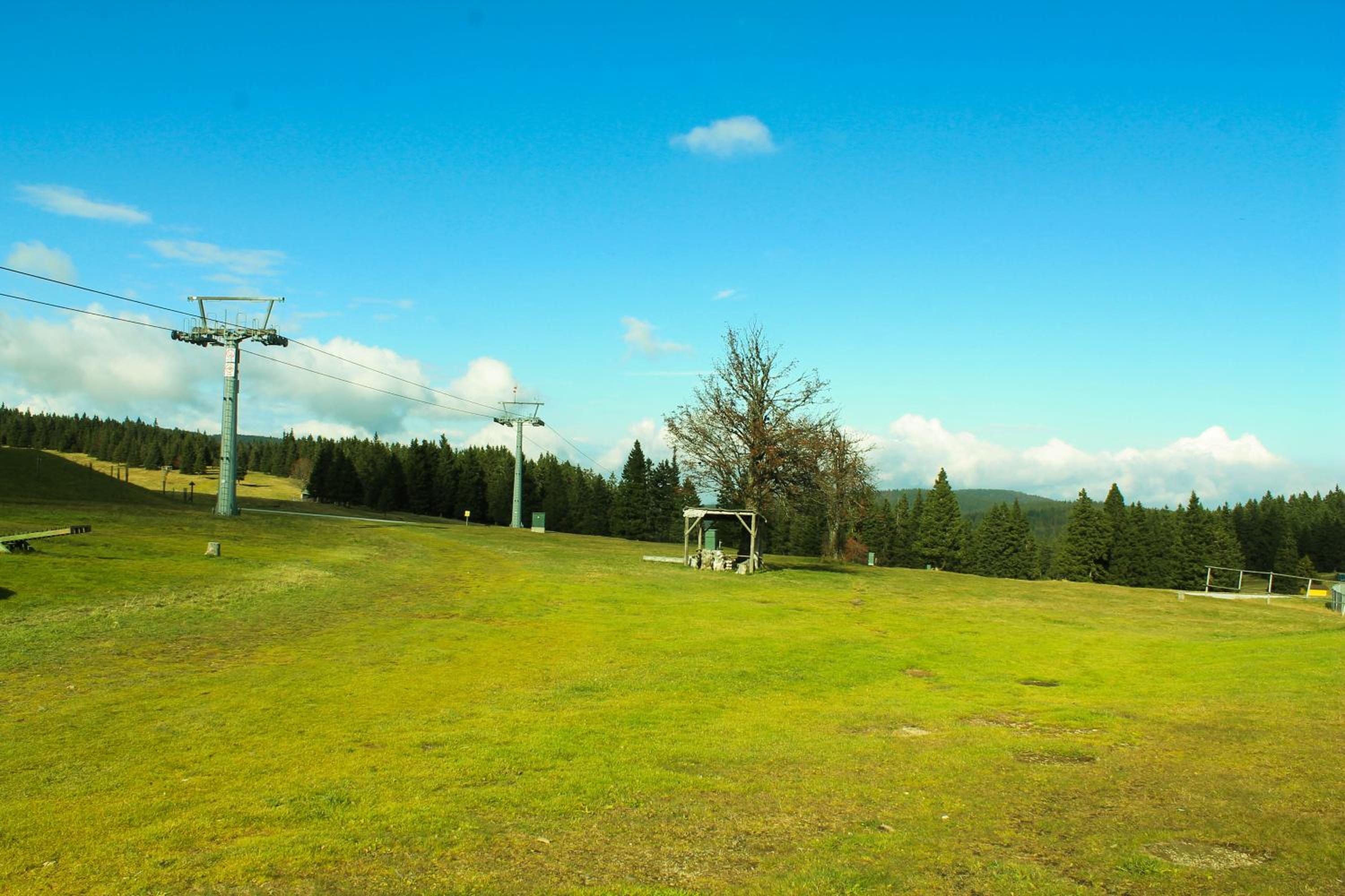 Photo 47