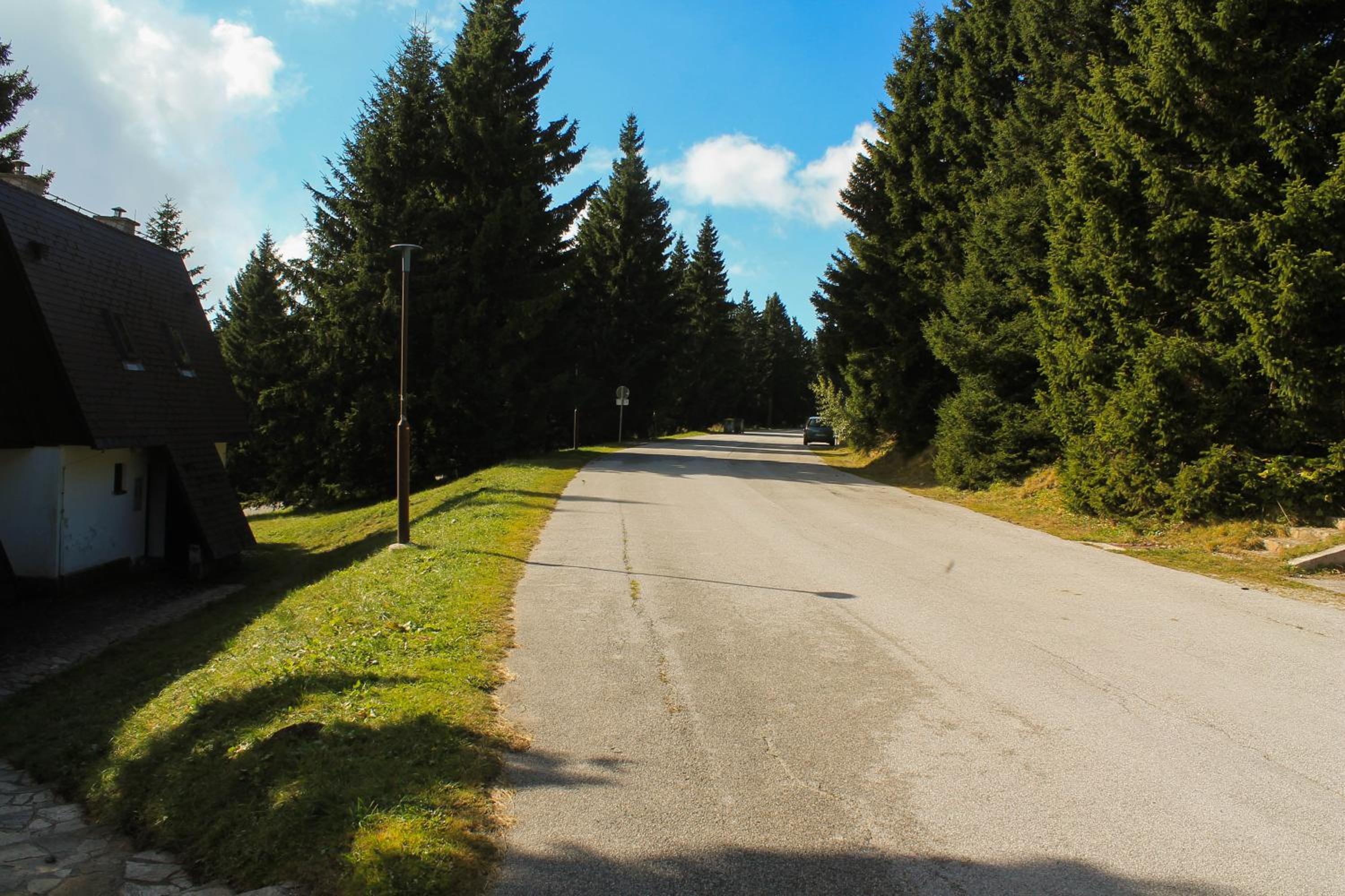 Photo 45