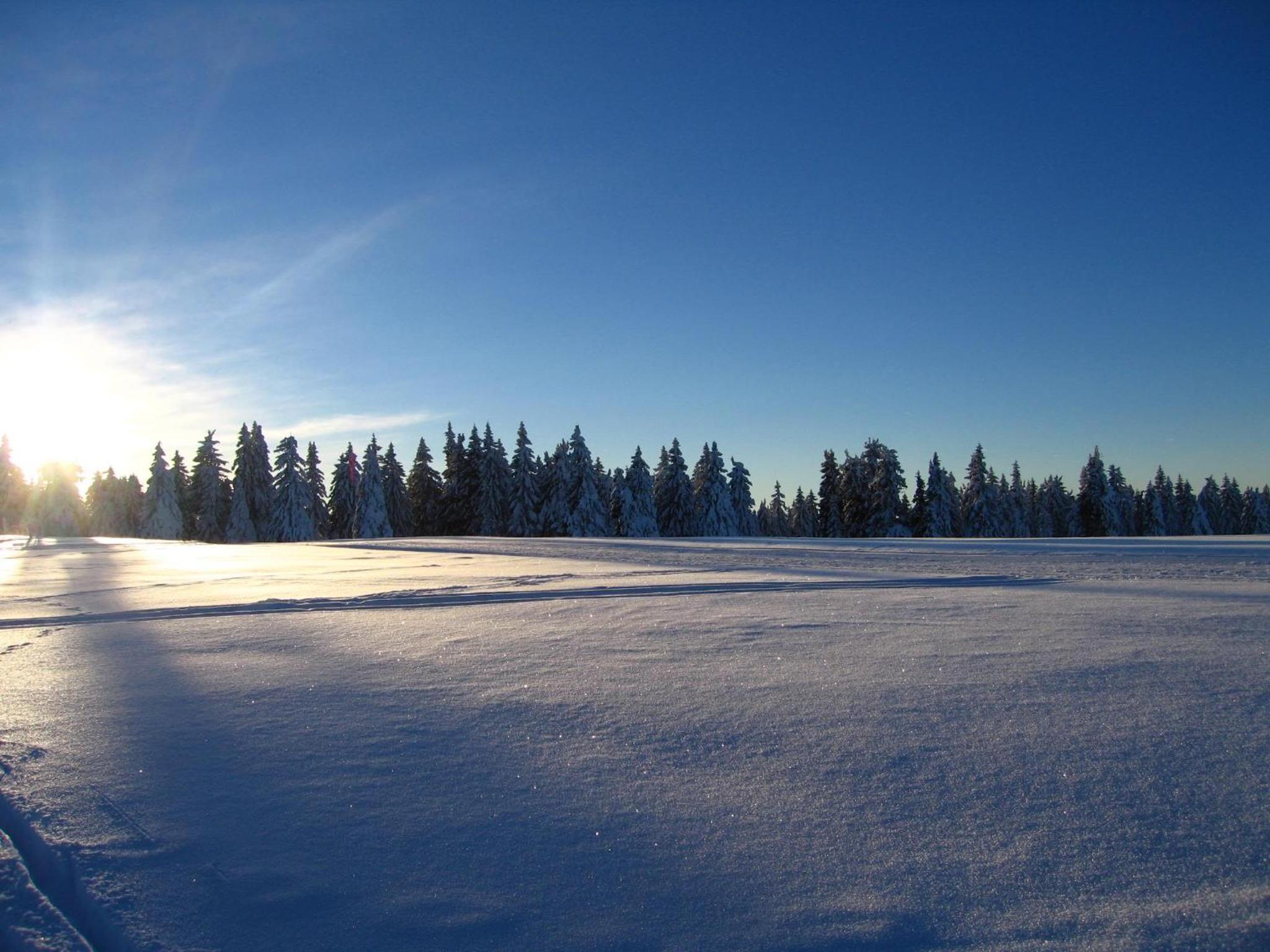Apartments Rogla view 5