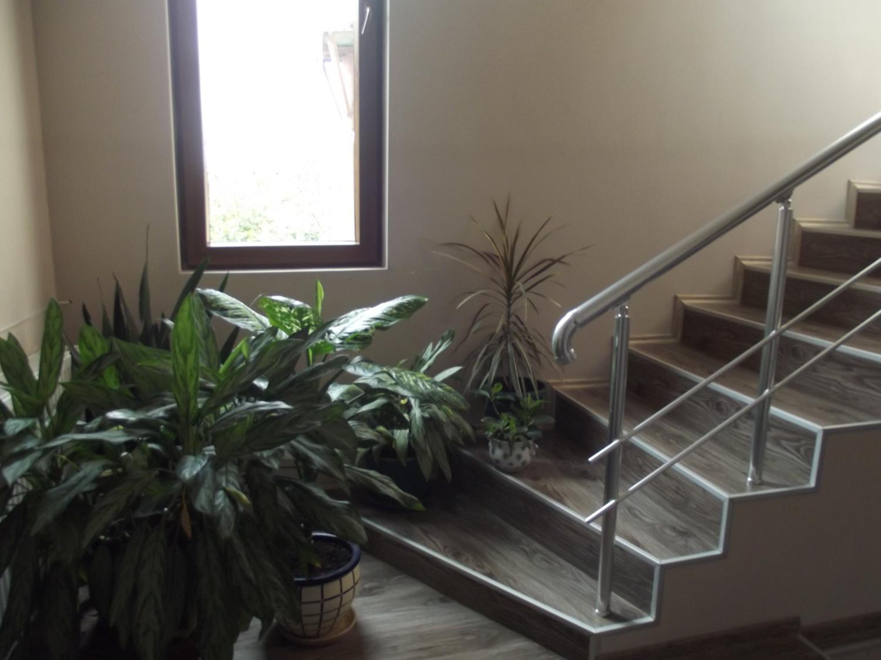 White Hotel Guesthouse