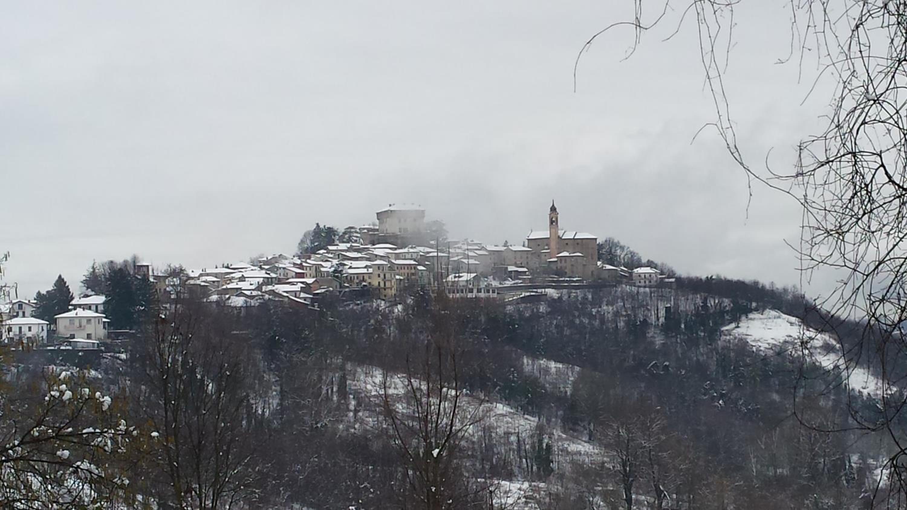Photo 80