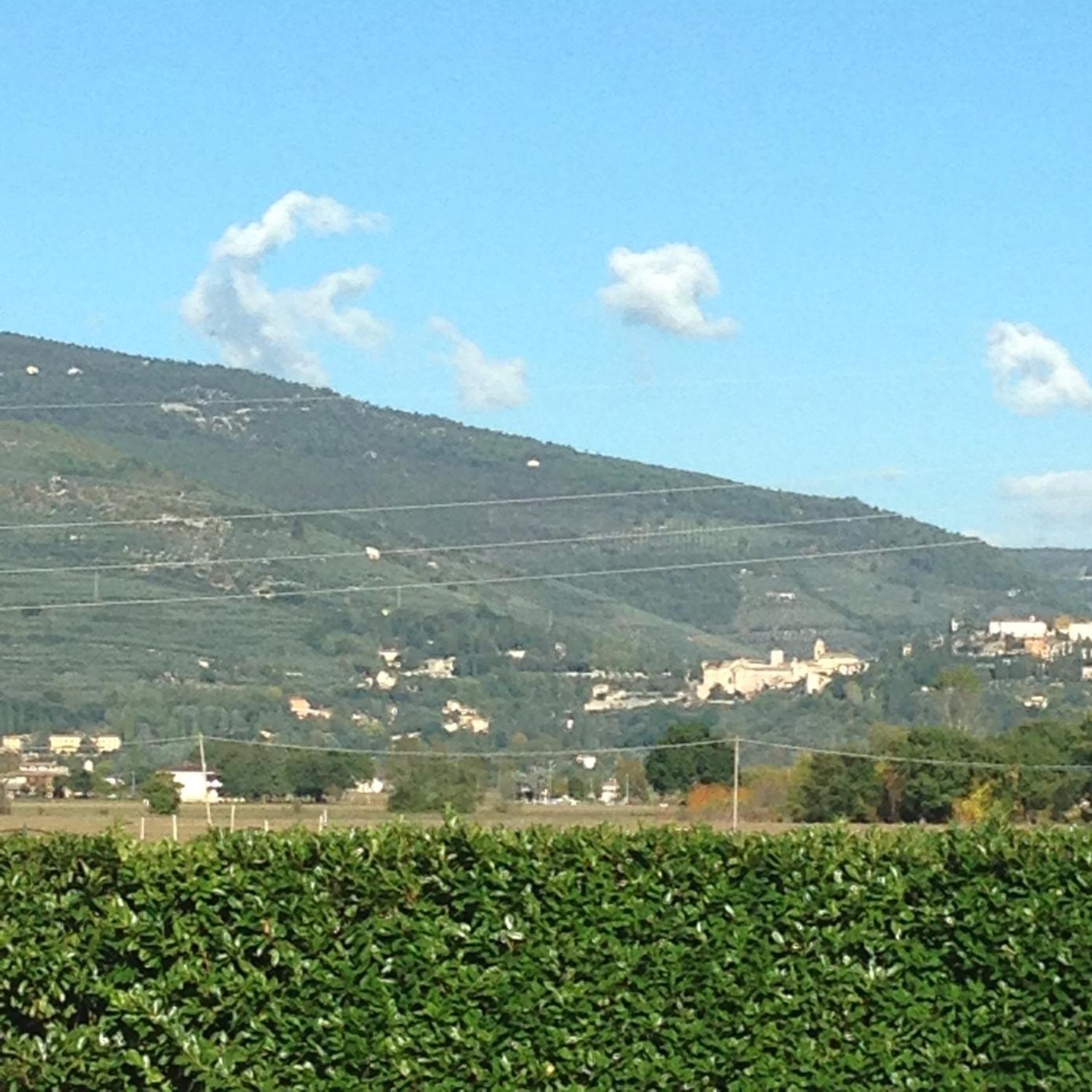 Le Ghiande