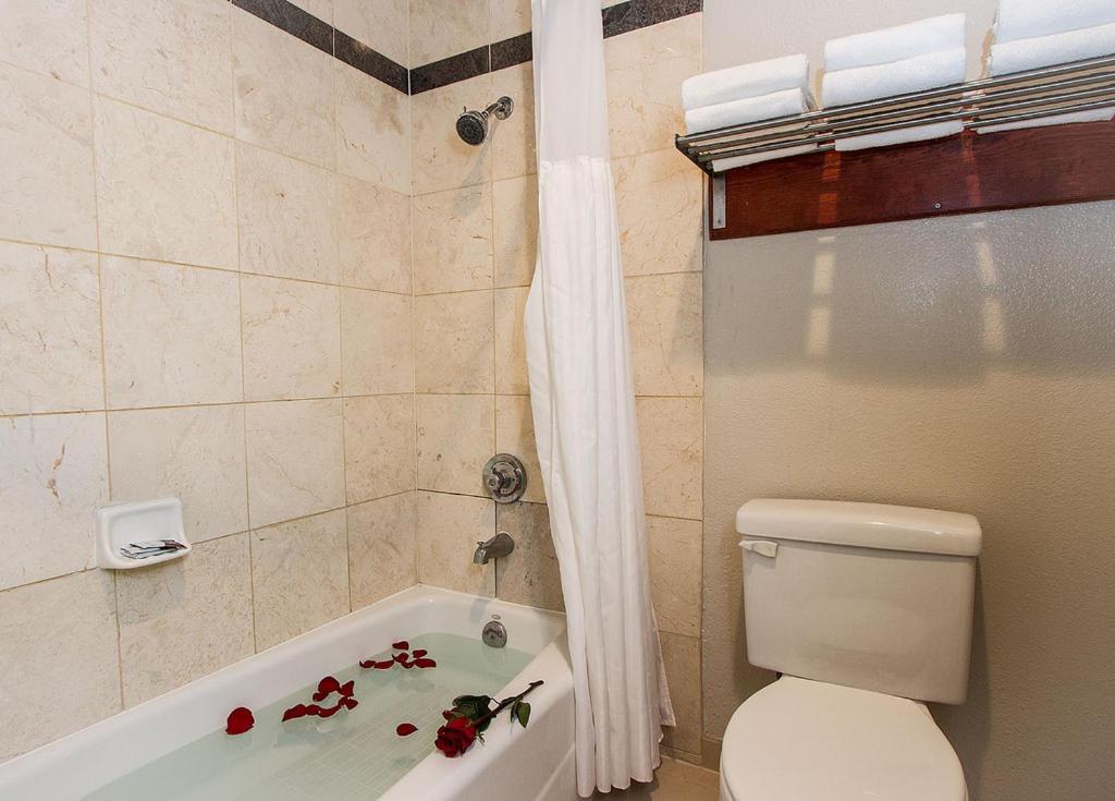 Granada Inn - Property Image 4