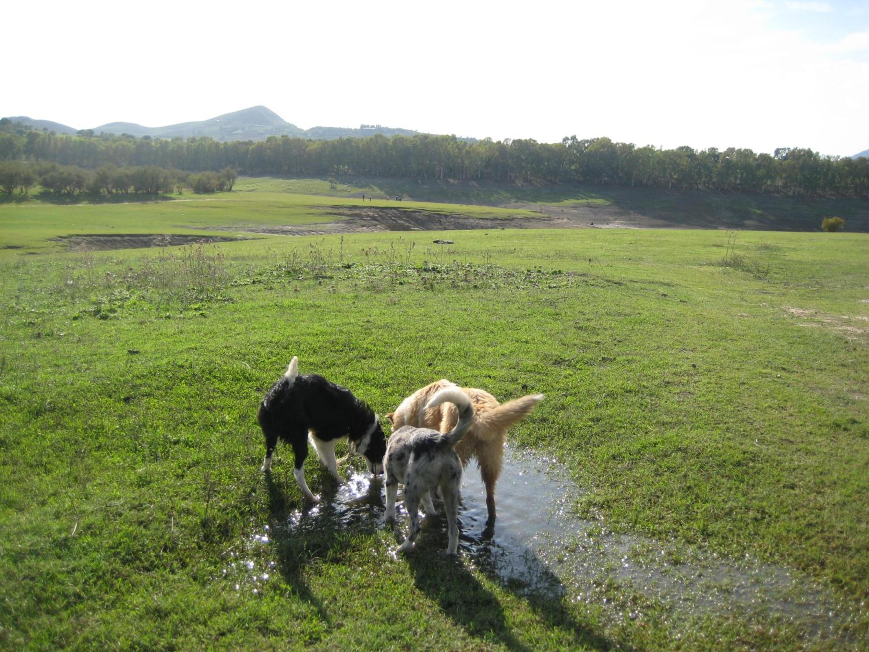 Photo 25