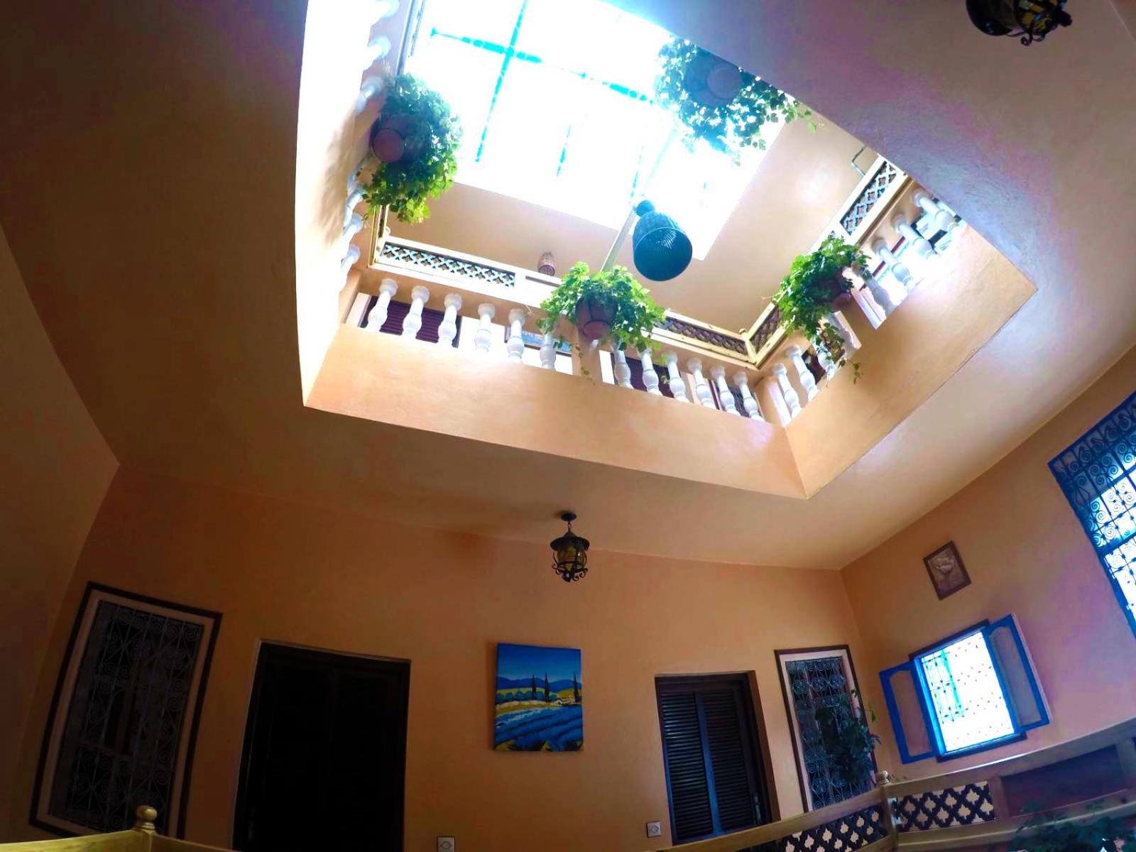 recepcion & lobby