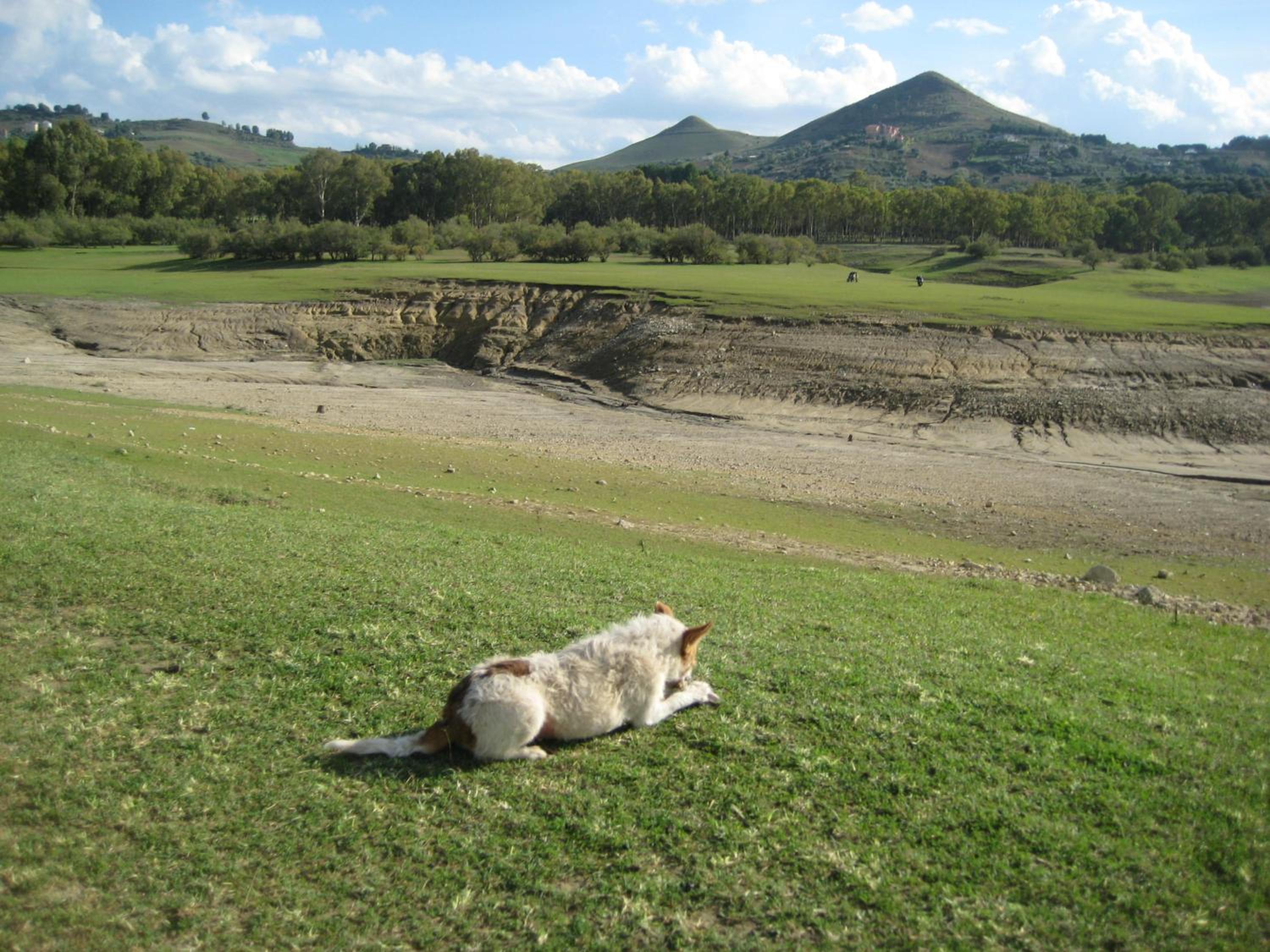 Photo 37