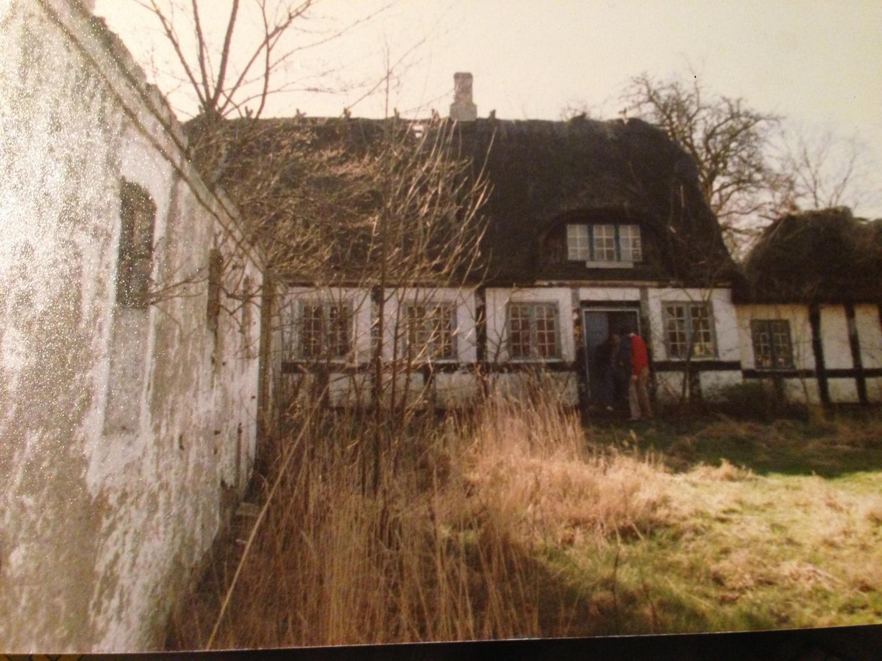 Photo 25