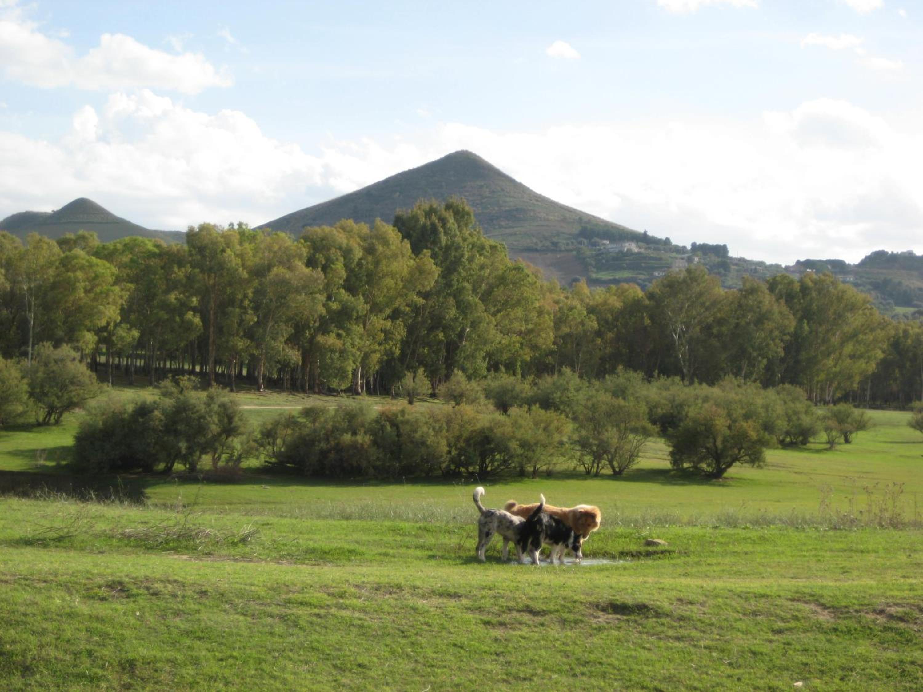 Photo 47
