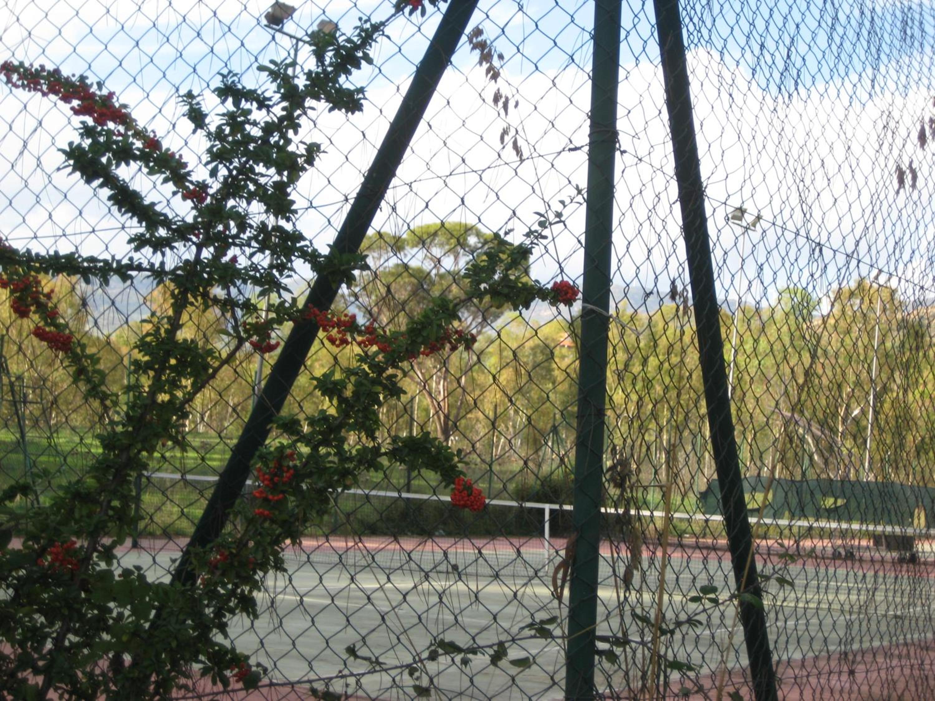 Photo 40