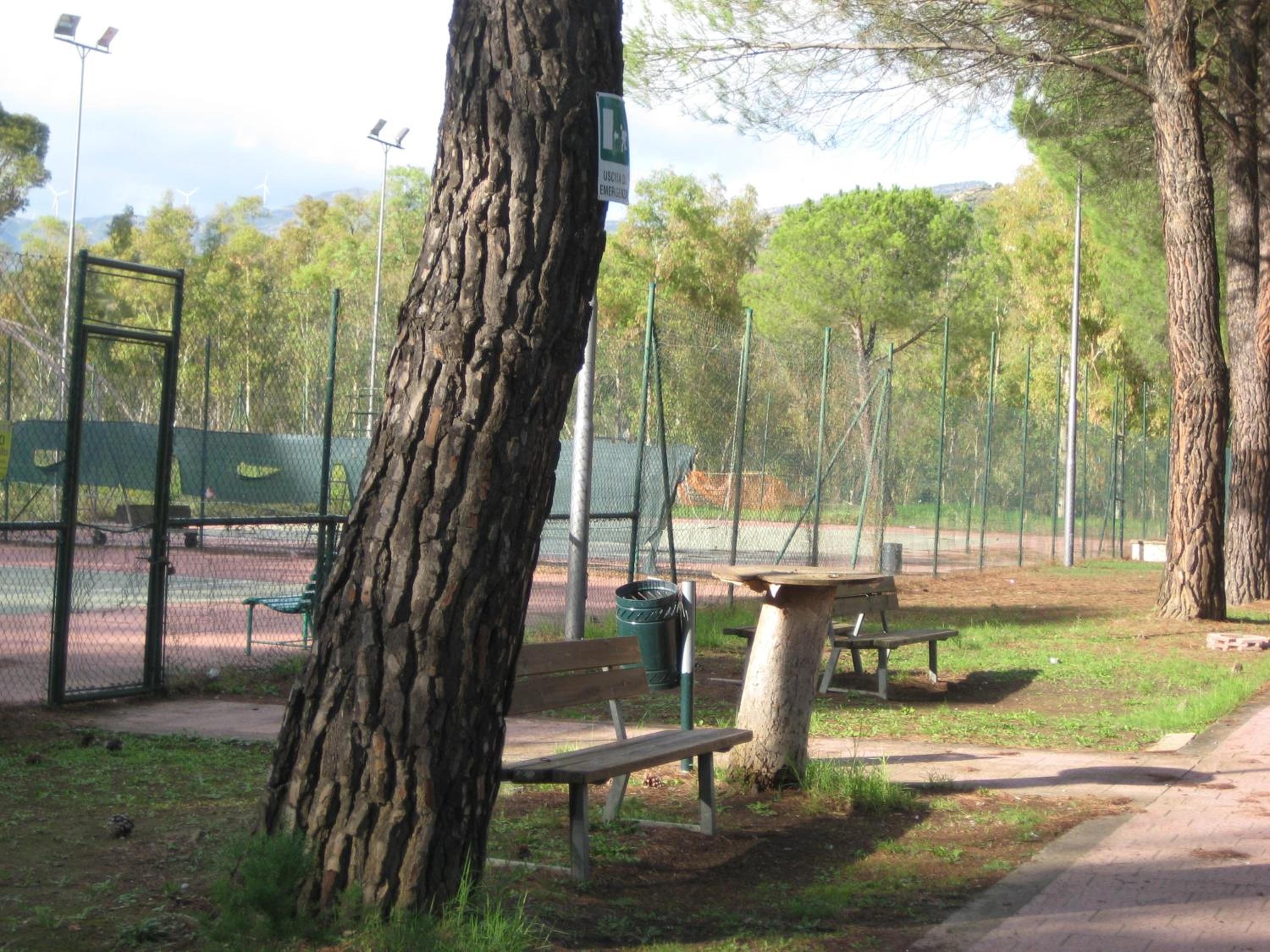 Photo 41