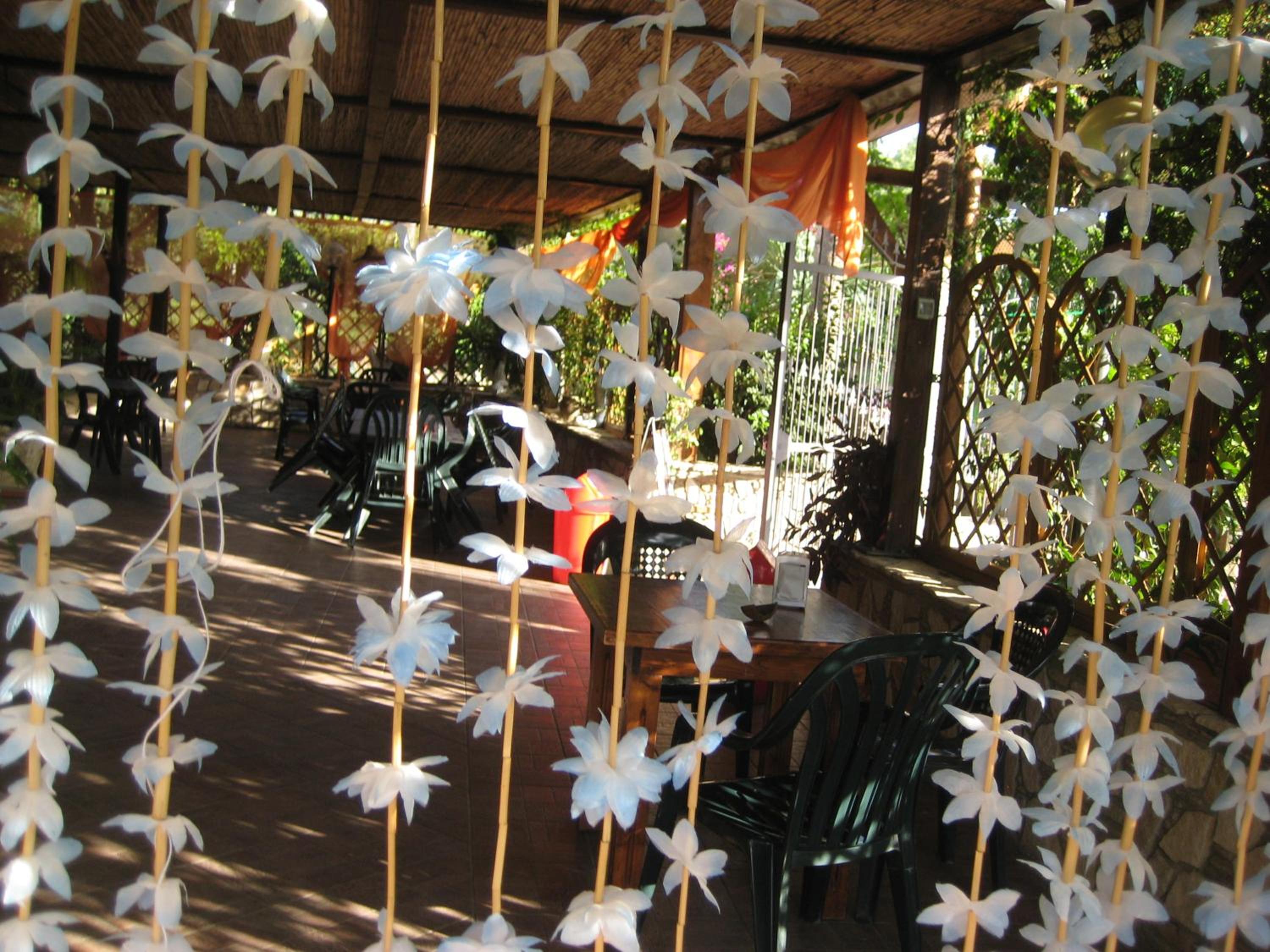 Photo 50