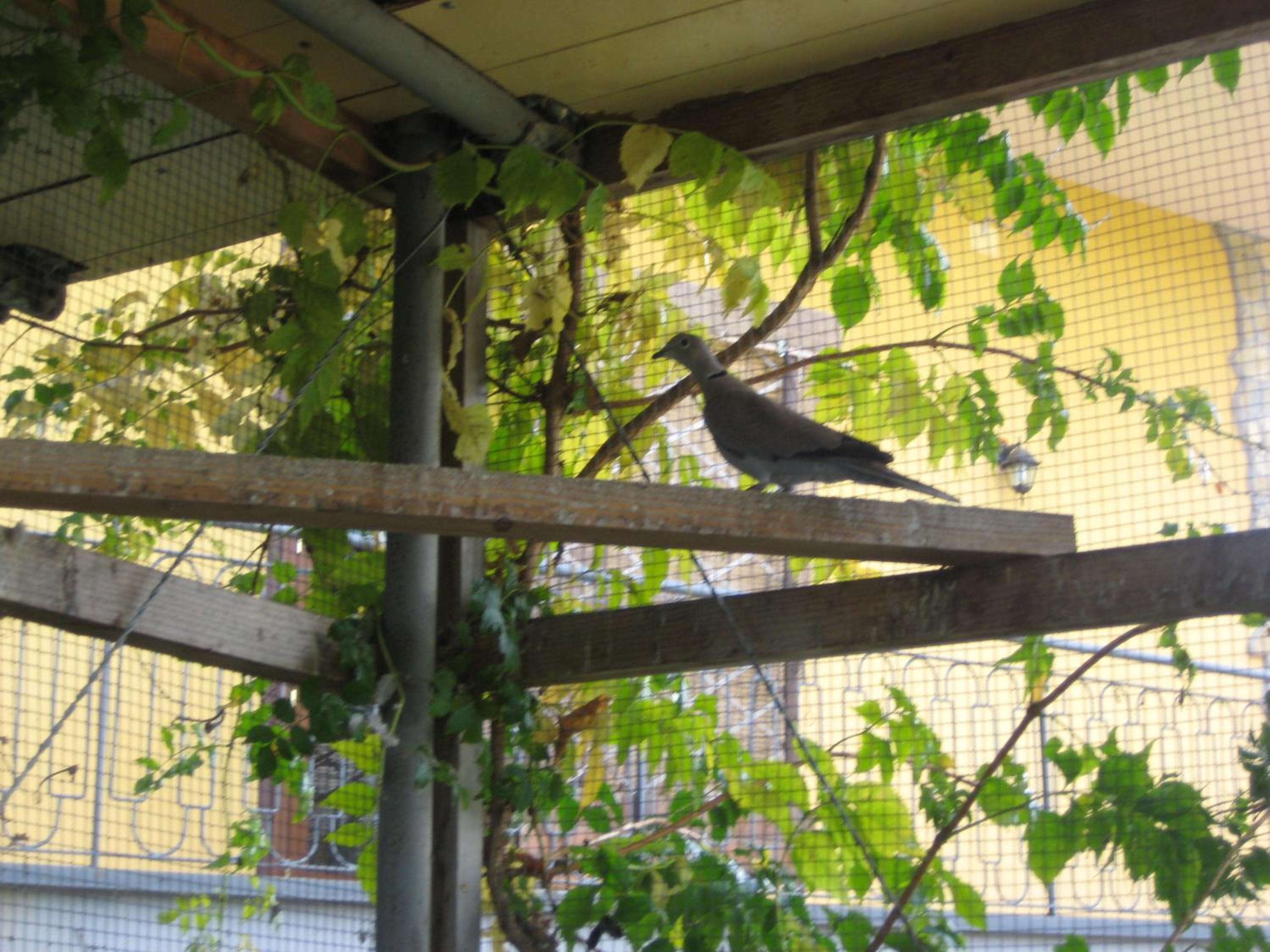 Photo 46