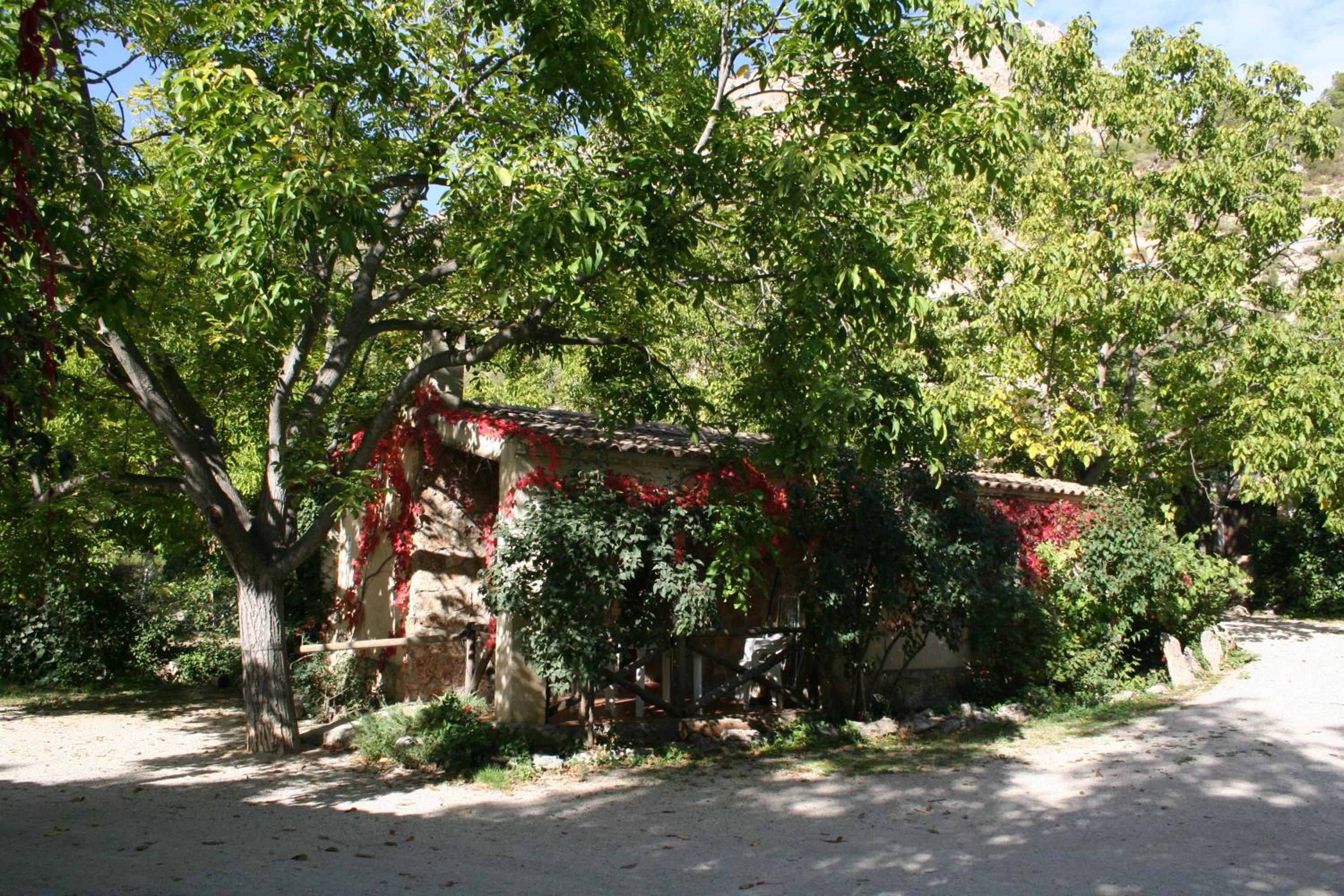Photo 26