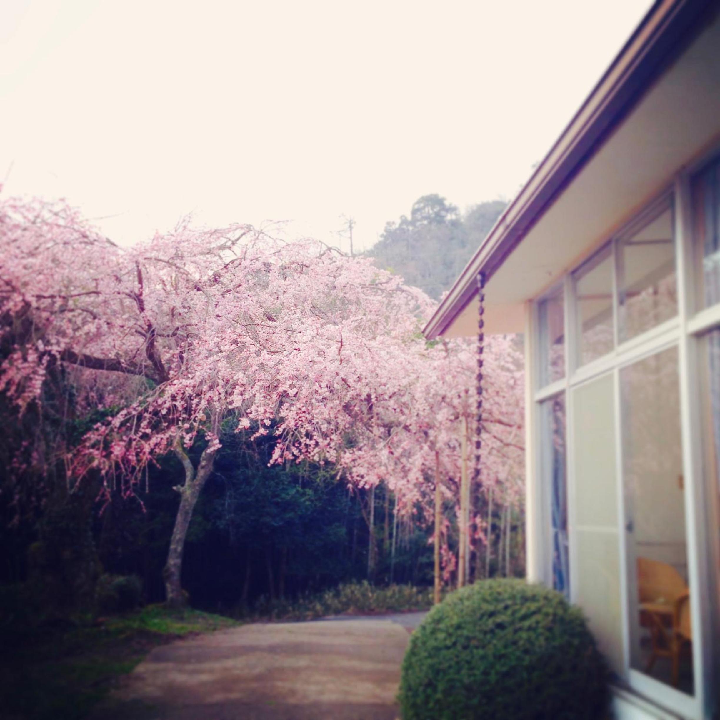 Amanohashidate Youth Hostel