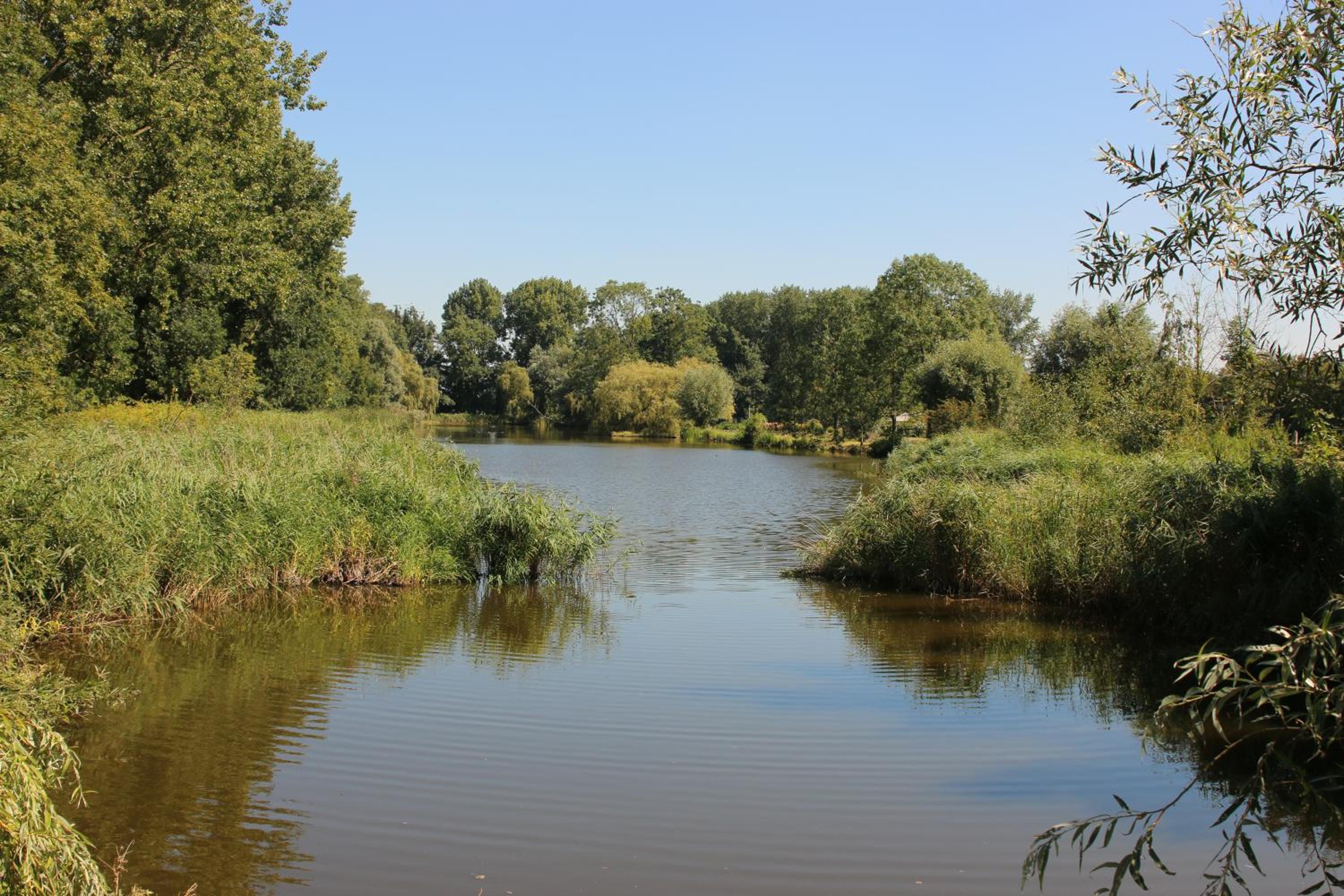 Photo 48