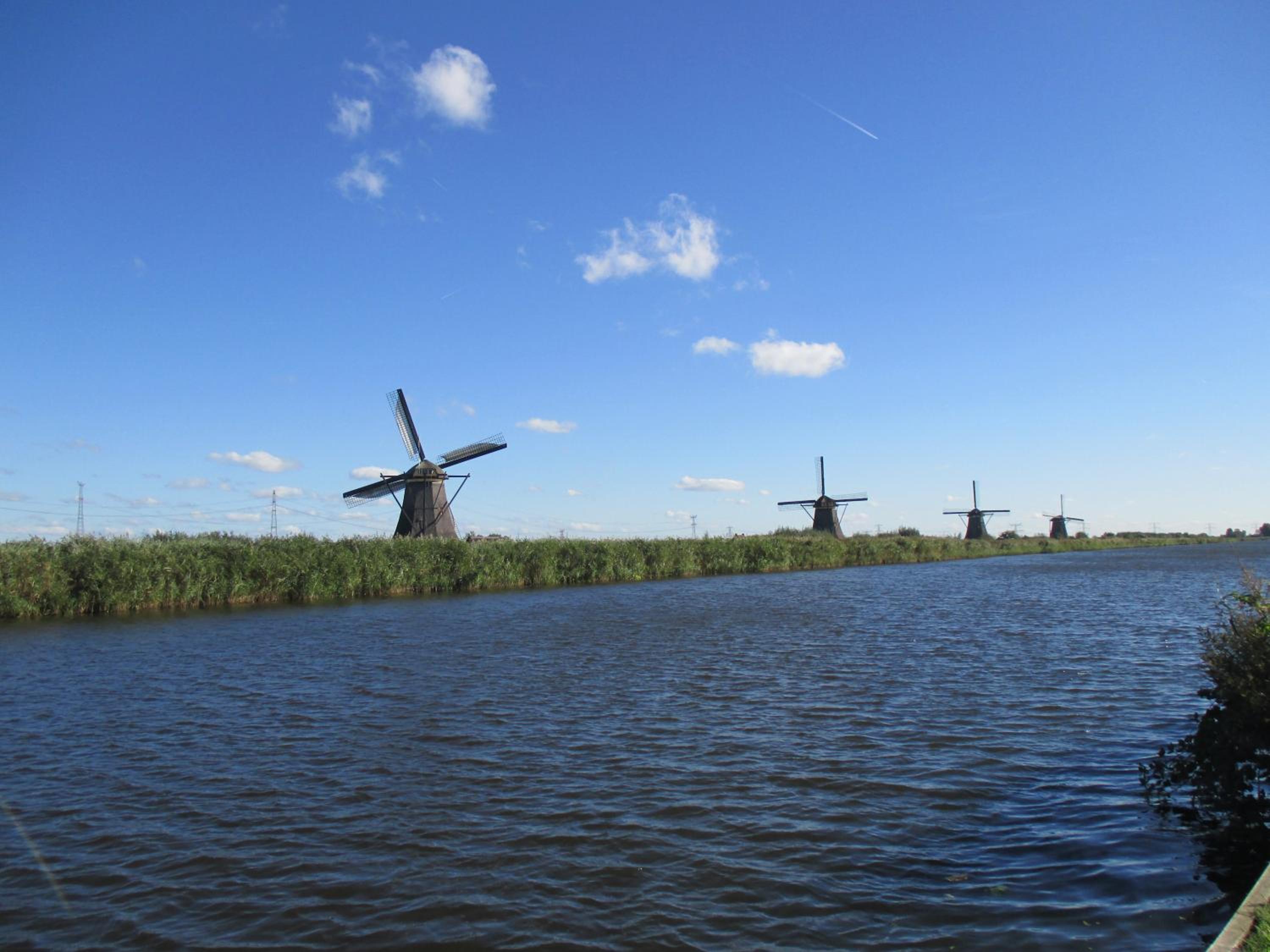 Photo 44
