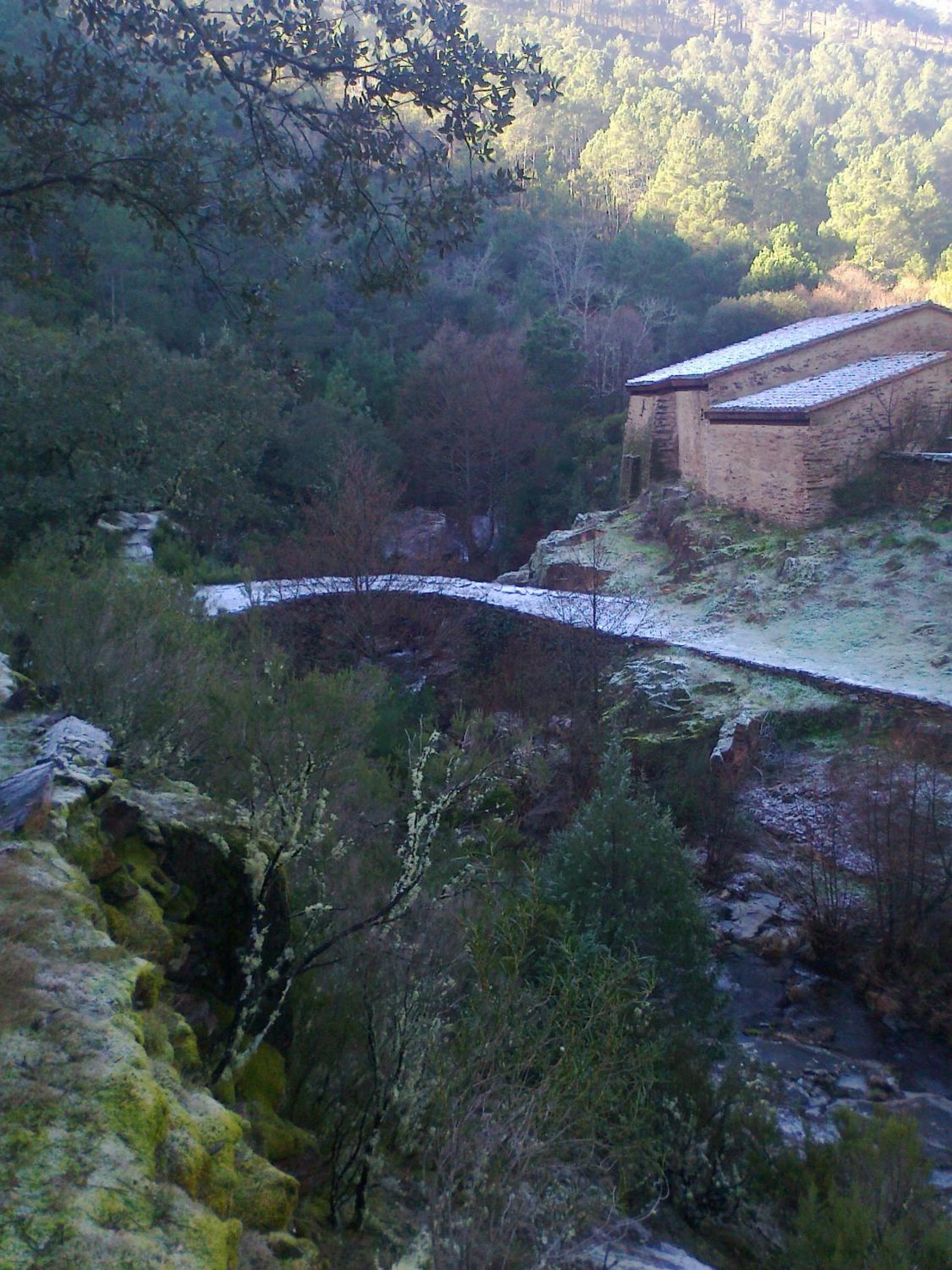 Casas Rurales Prunus Avium