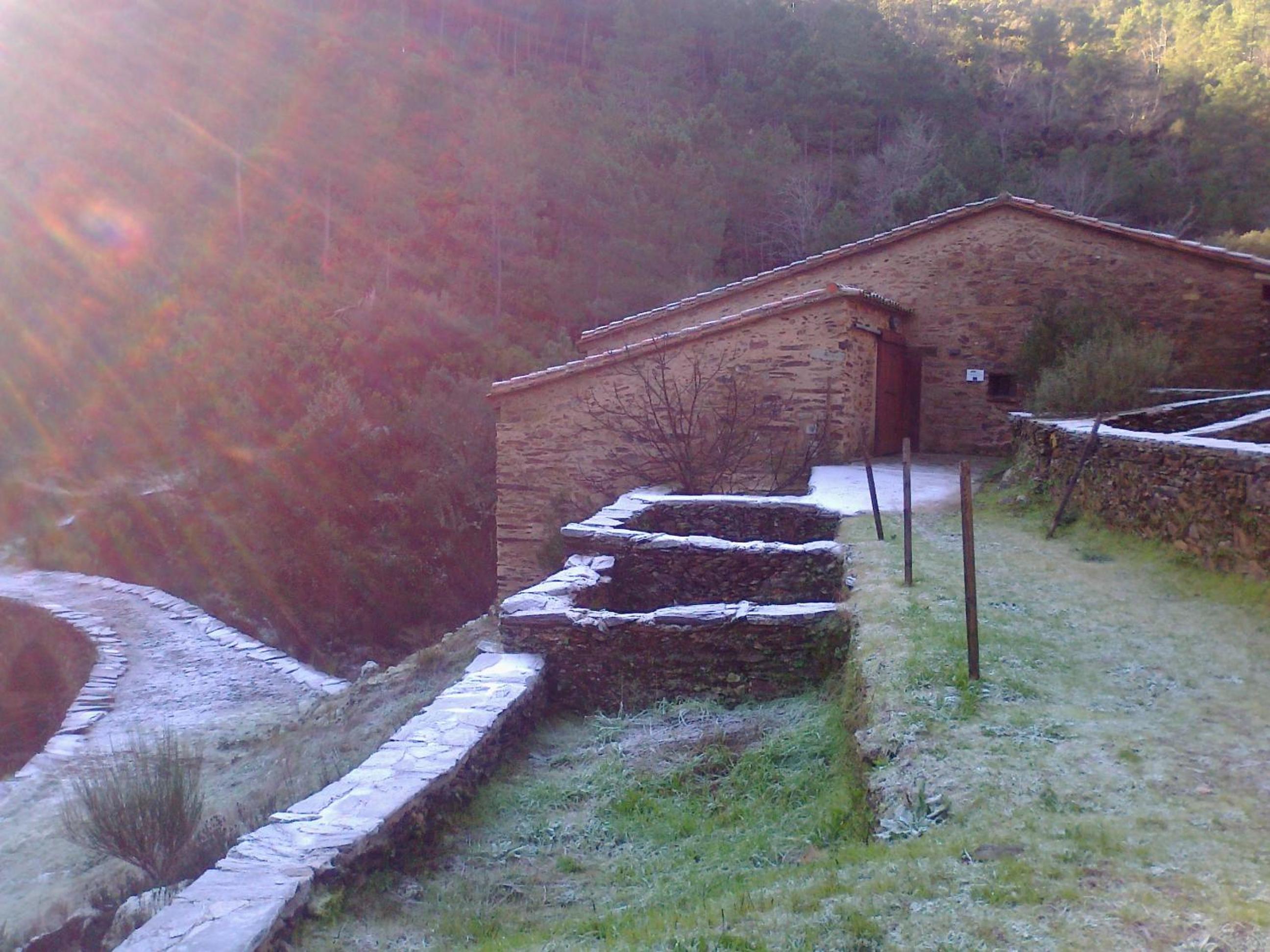 Casas Rurales Prunus Avium