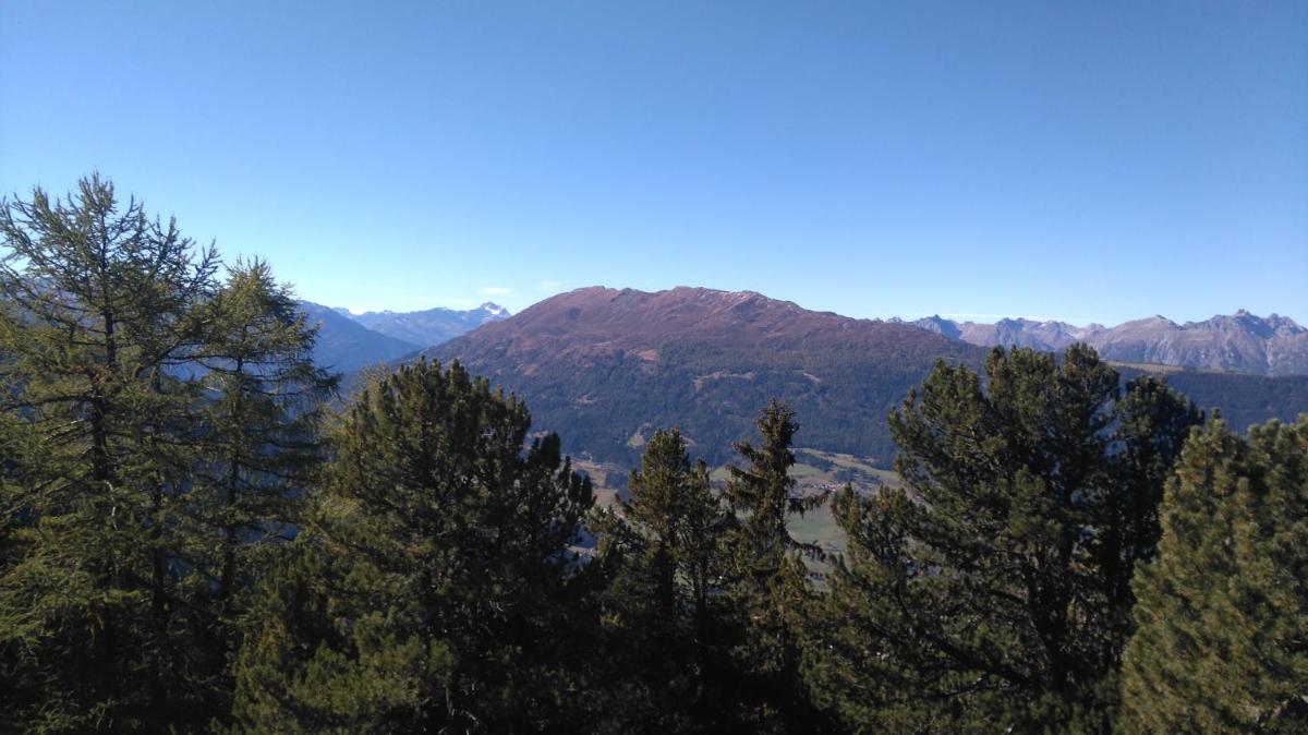 Photo 43
