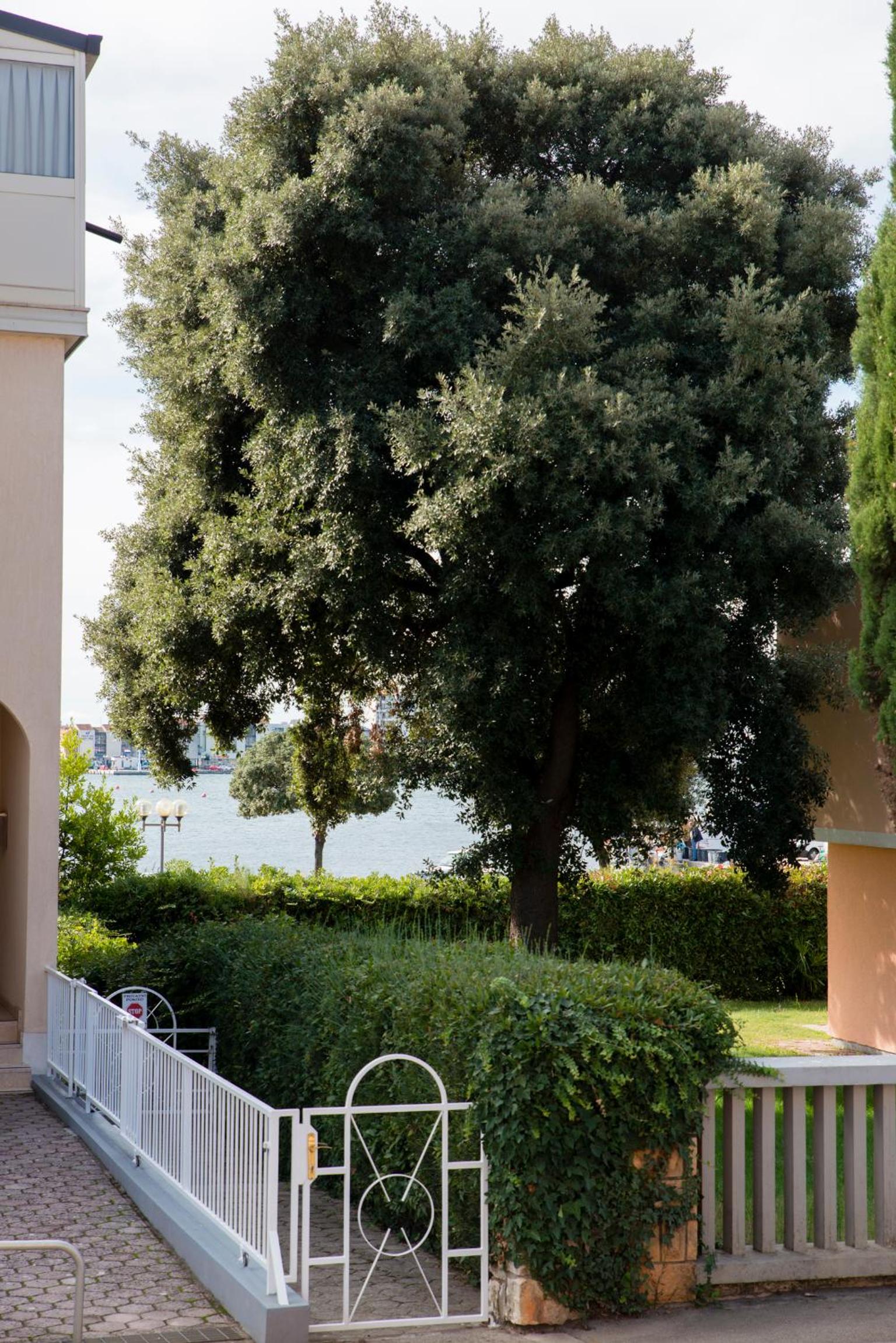 Apartments Villa Nona
