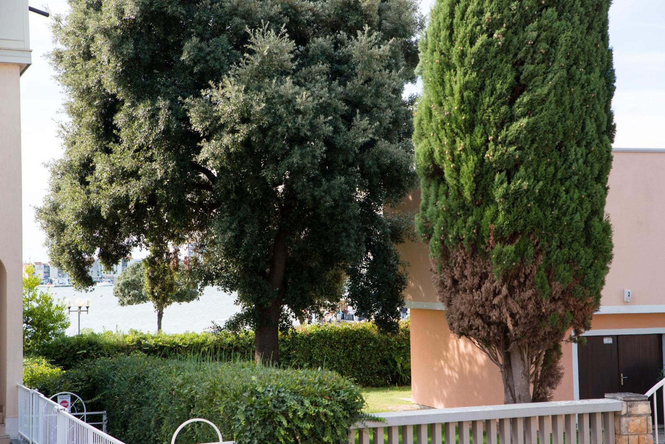 Apartments Villa Nona