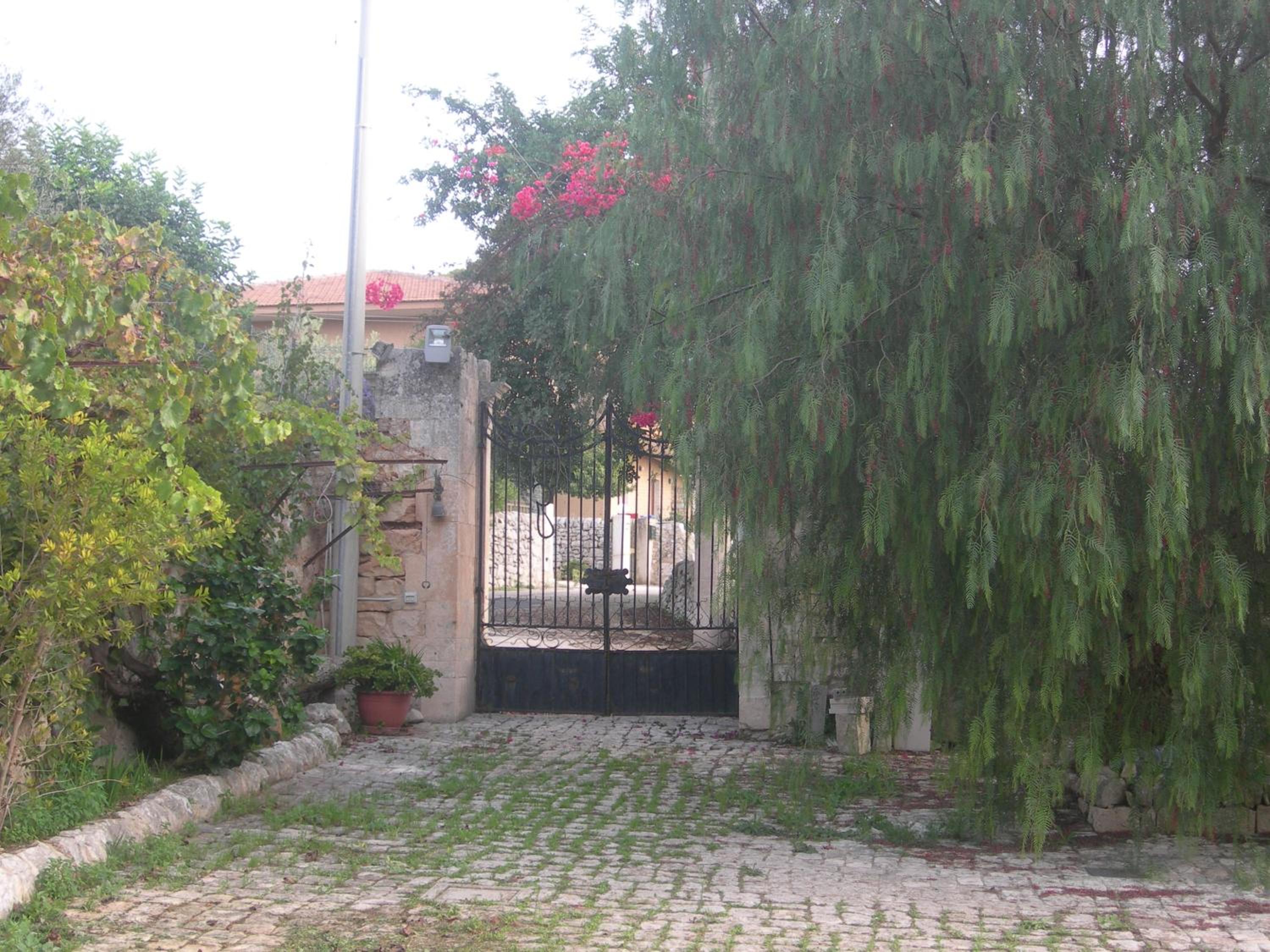 Photo 30
