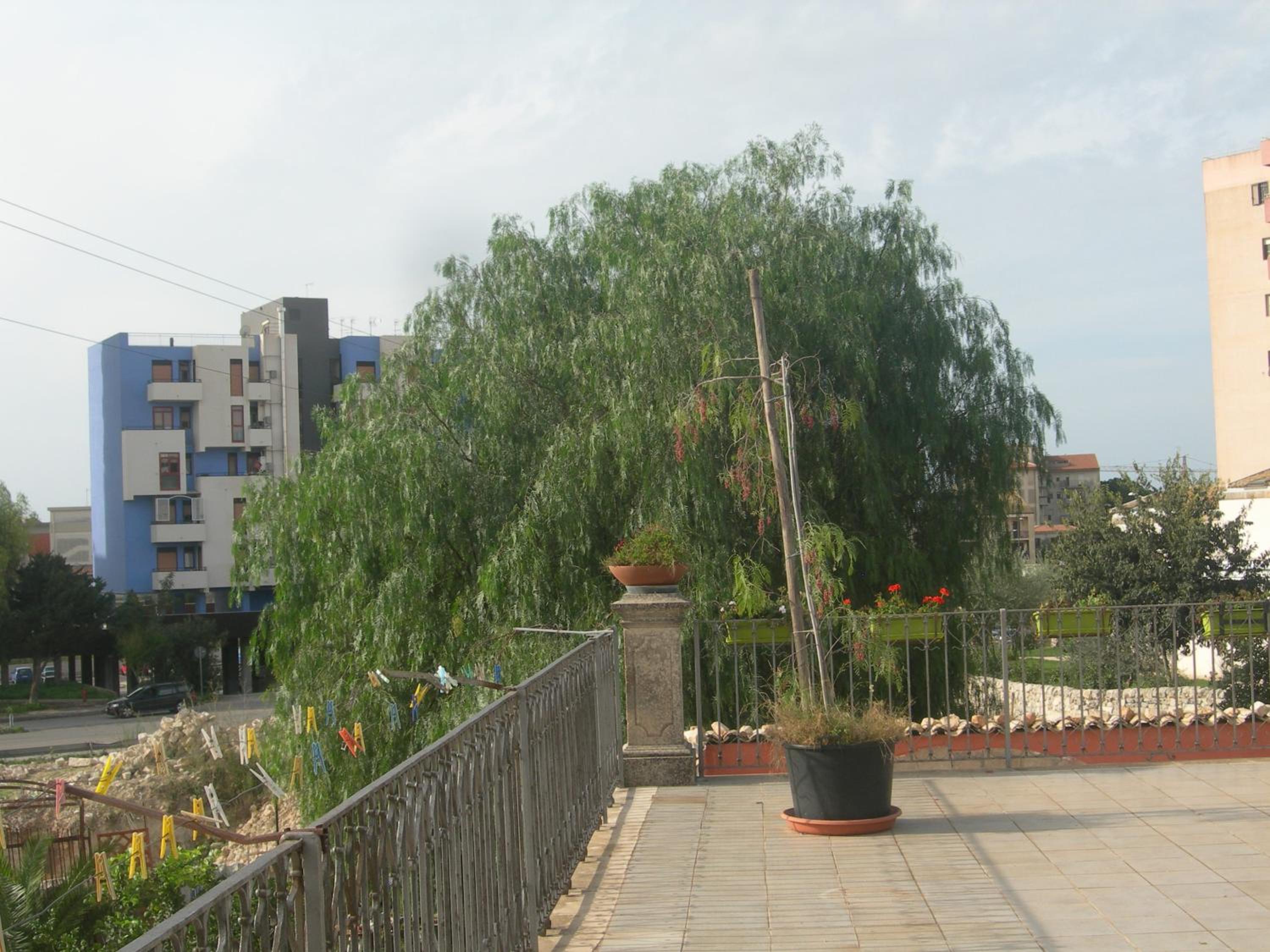 Photo 48