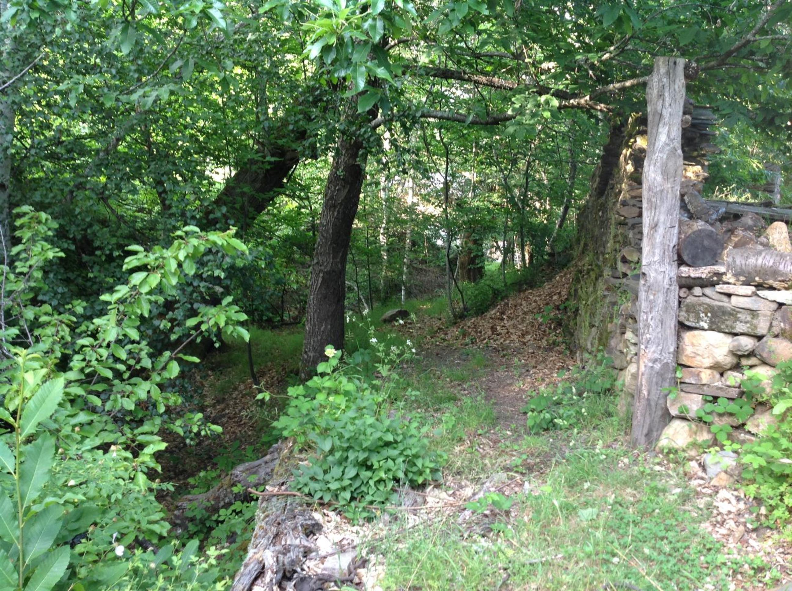 Photo 31