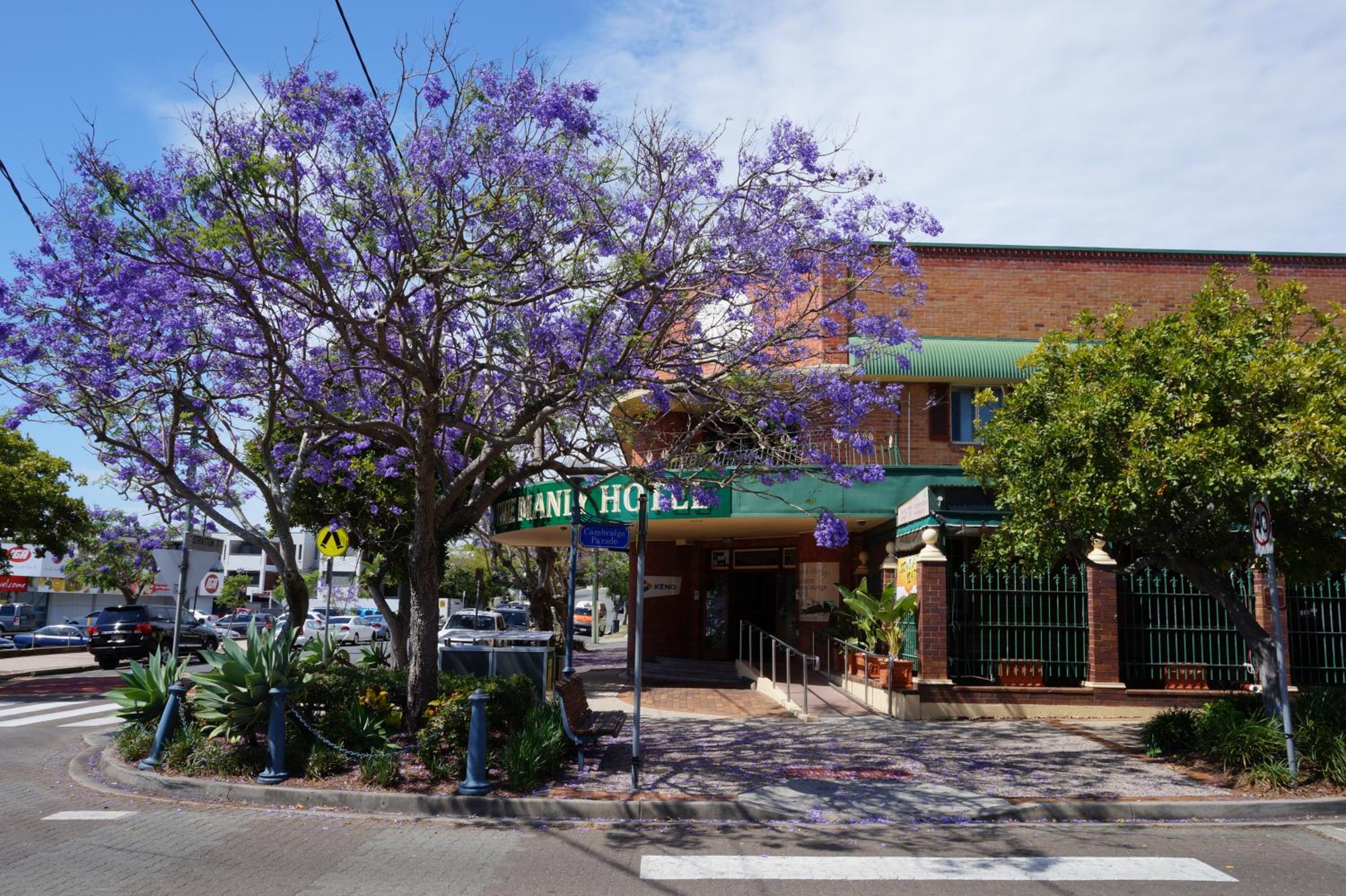 Brisbane Vacations - Manly Hotel - Property Image 13