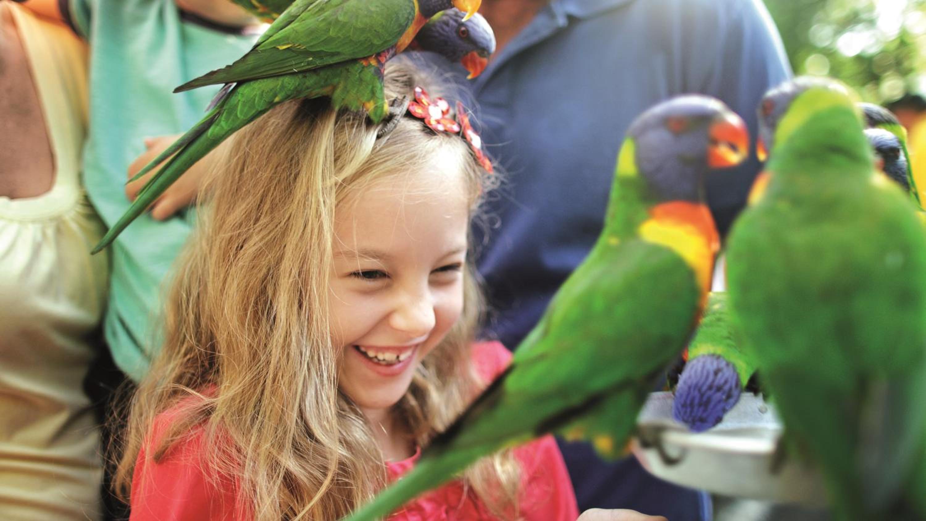 BIG4 Gold Coast Holiday Park