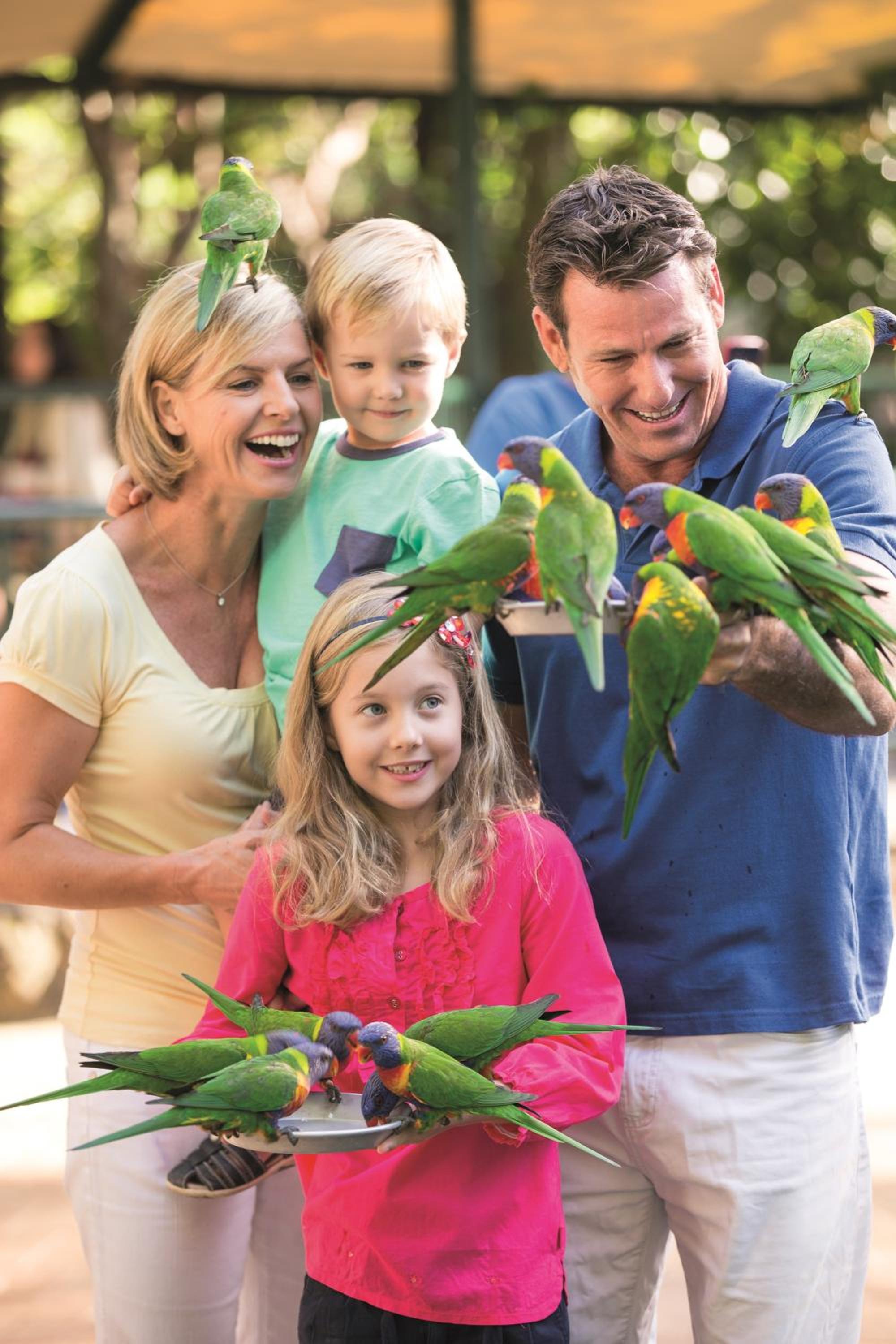 BIG4 Gold Coast Holiday Park